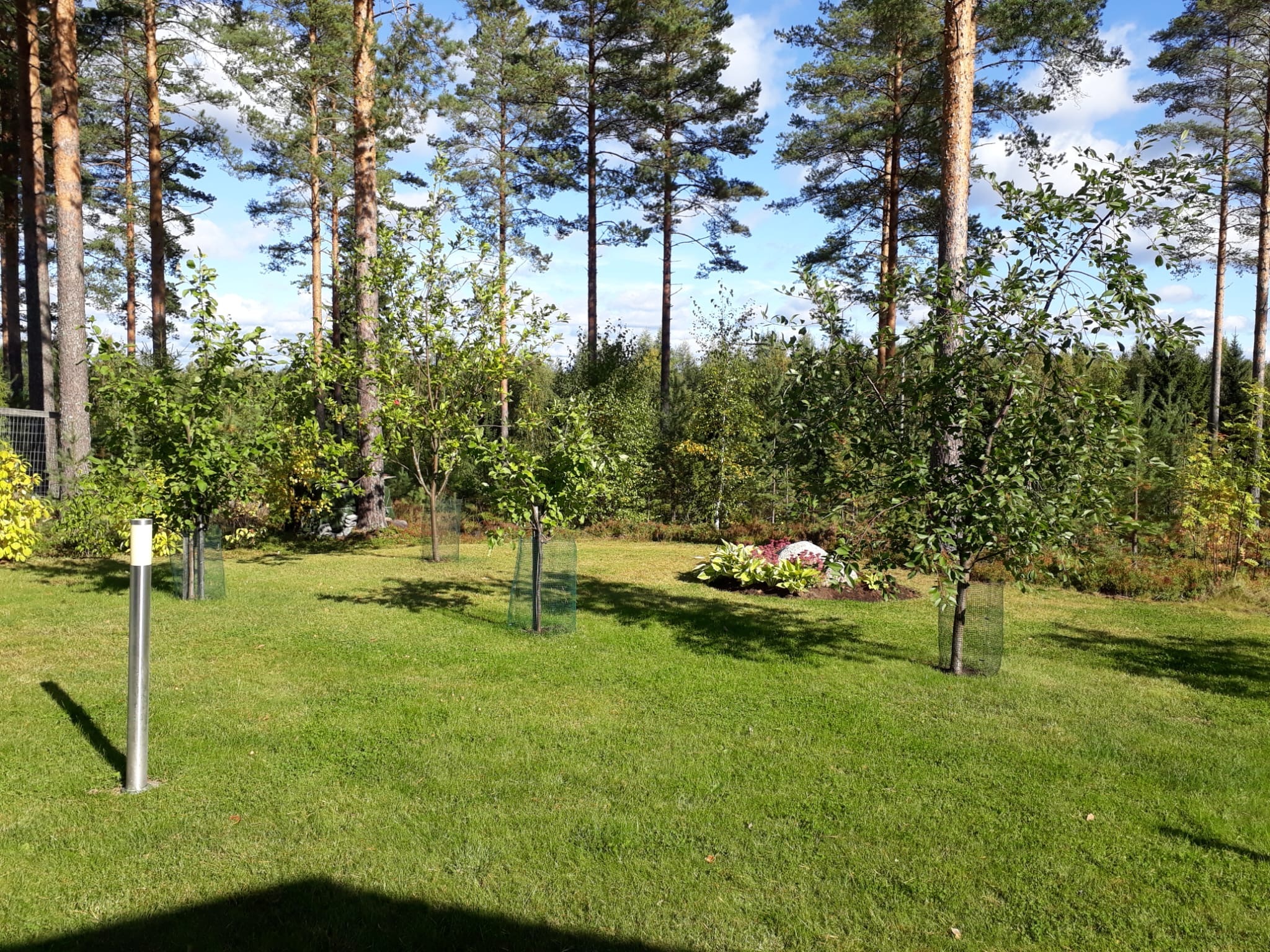 Kalevantie 5, Juva