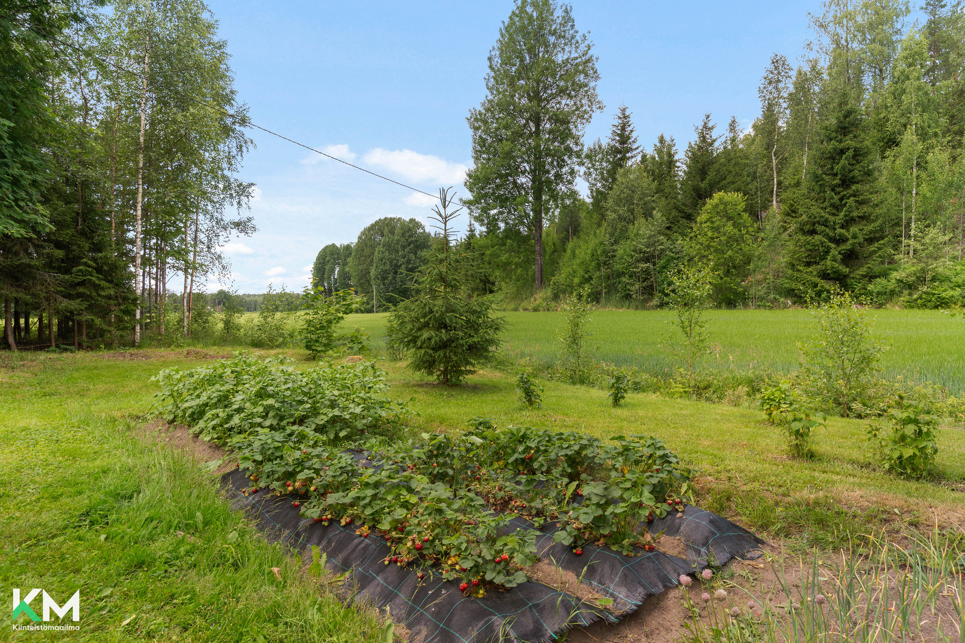 Hanjärventie 10, Kalkkinen, Asikkala