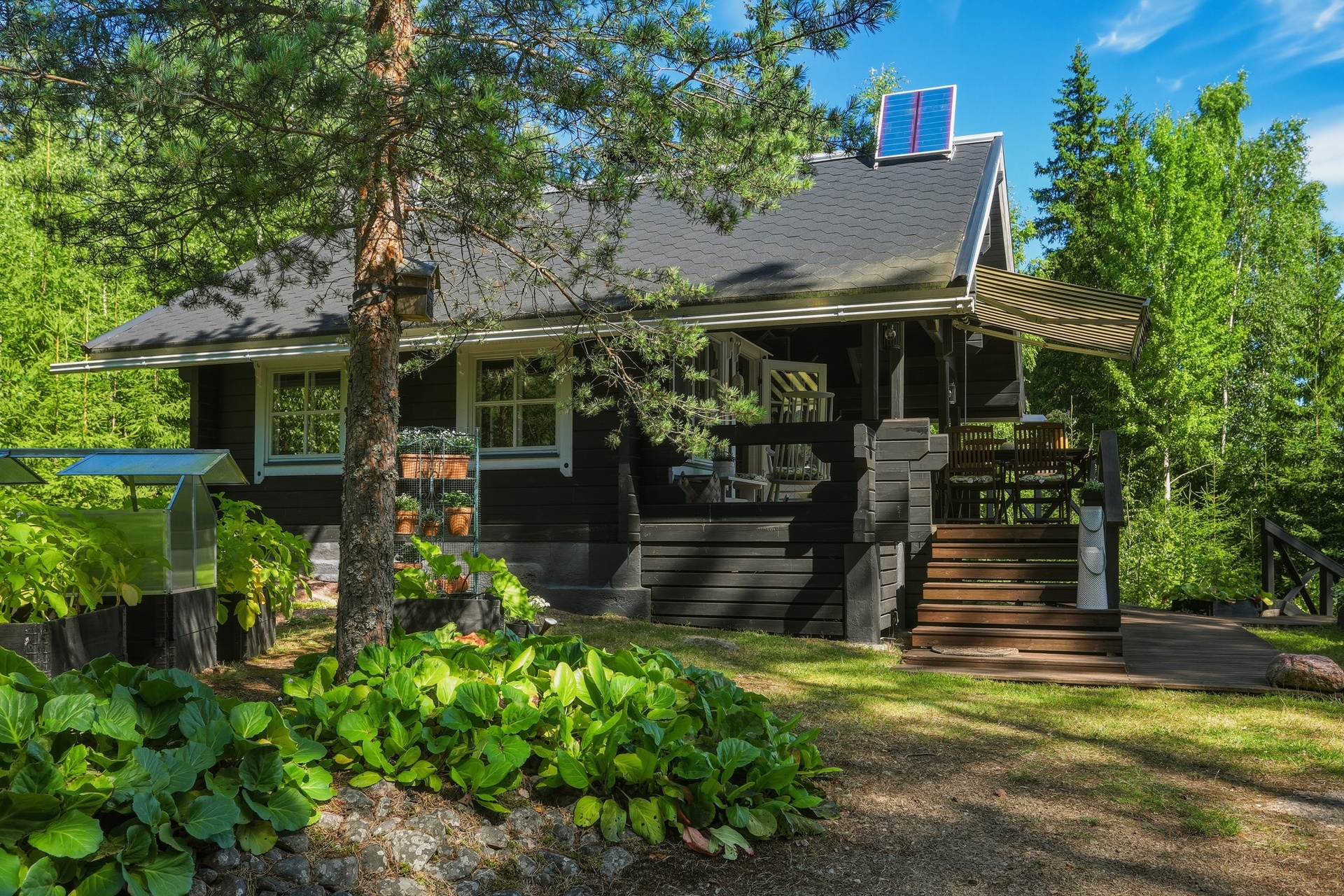 Viuhonmäki 81, Luumäki