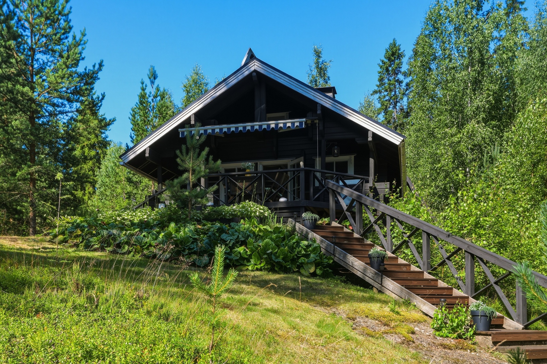 Viuhonmäki 81, Luumäki