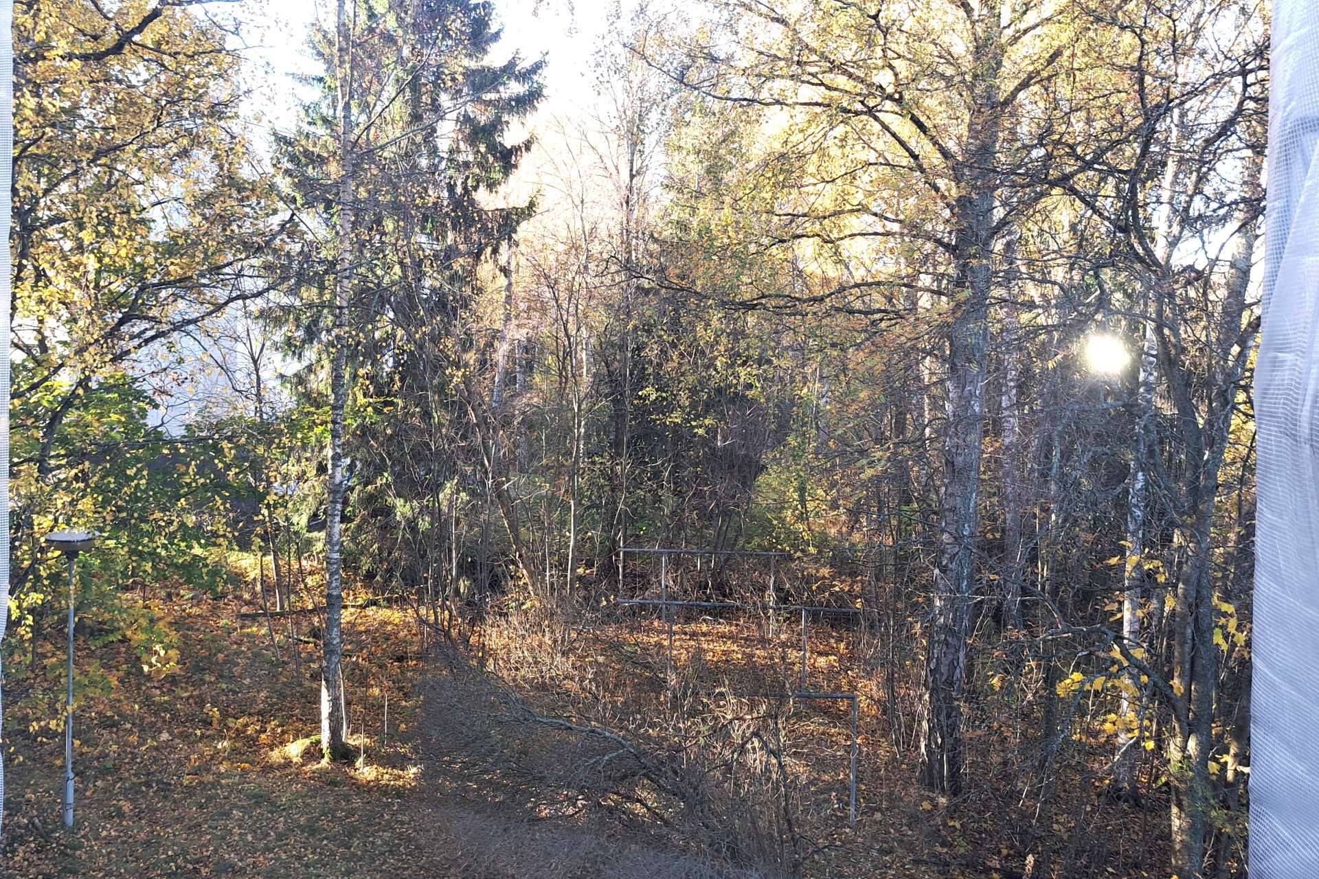 näkymät keittiön ikkunasta 18102026