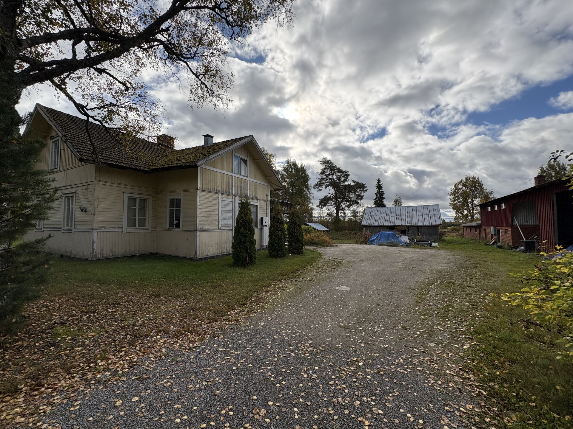 Hakunintie 192, Mieto, Kurikka