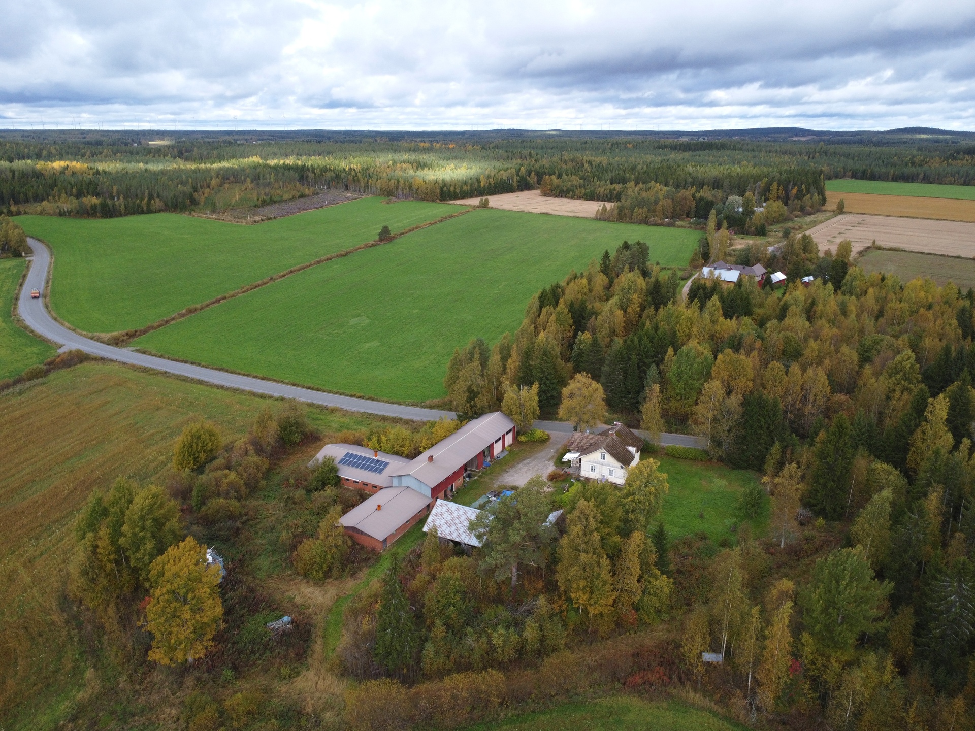 Hakunintie 192, Mieto, Kurikka