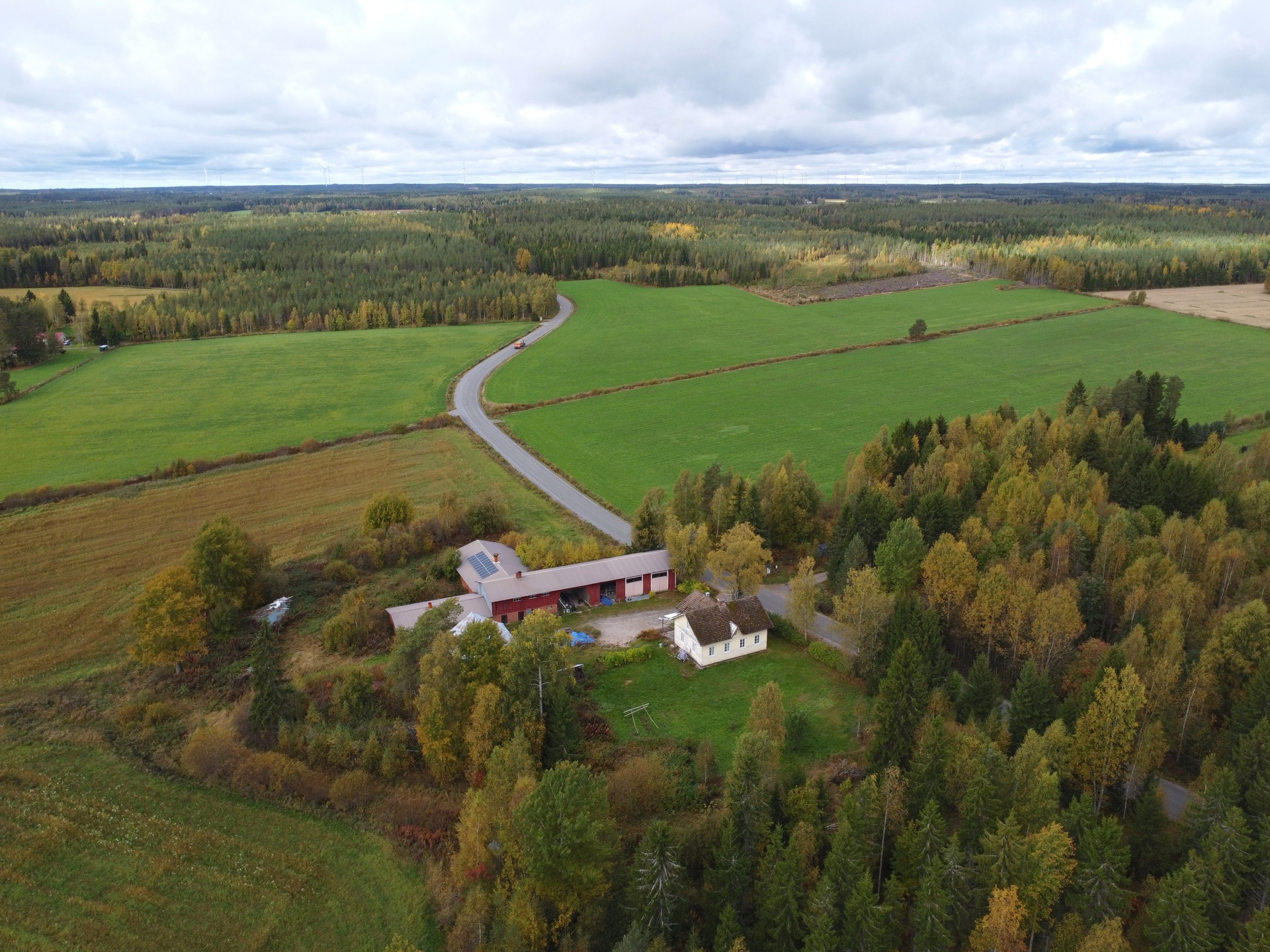 Hakunintie 192, Mieto, Kurikka