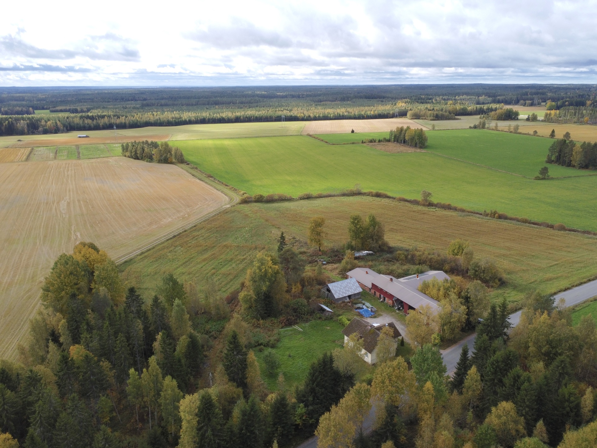 Hakunintie 192, Mieto, Kurikka