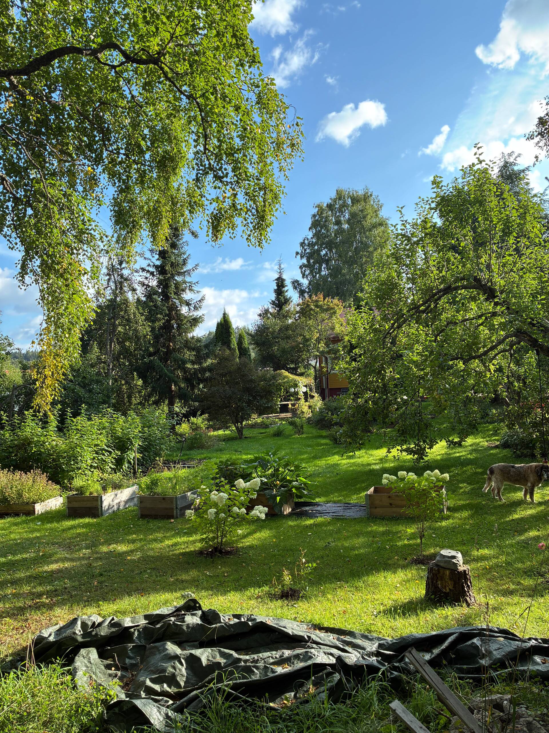 Rinnetie 12, Kankaantausta, Hämeenlinna