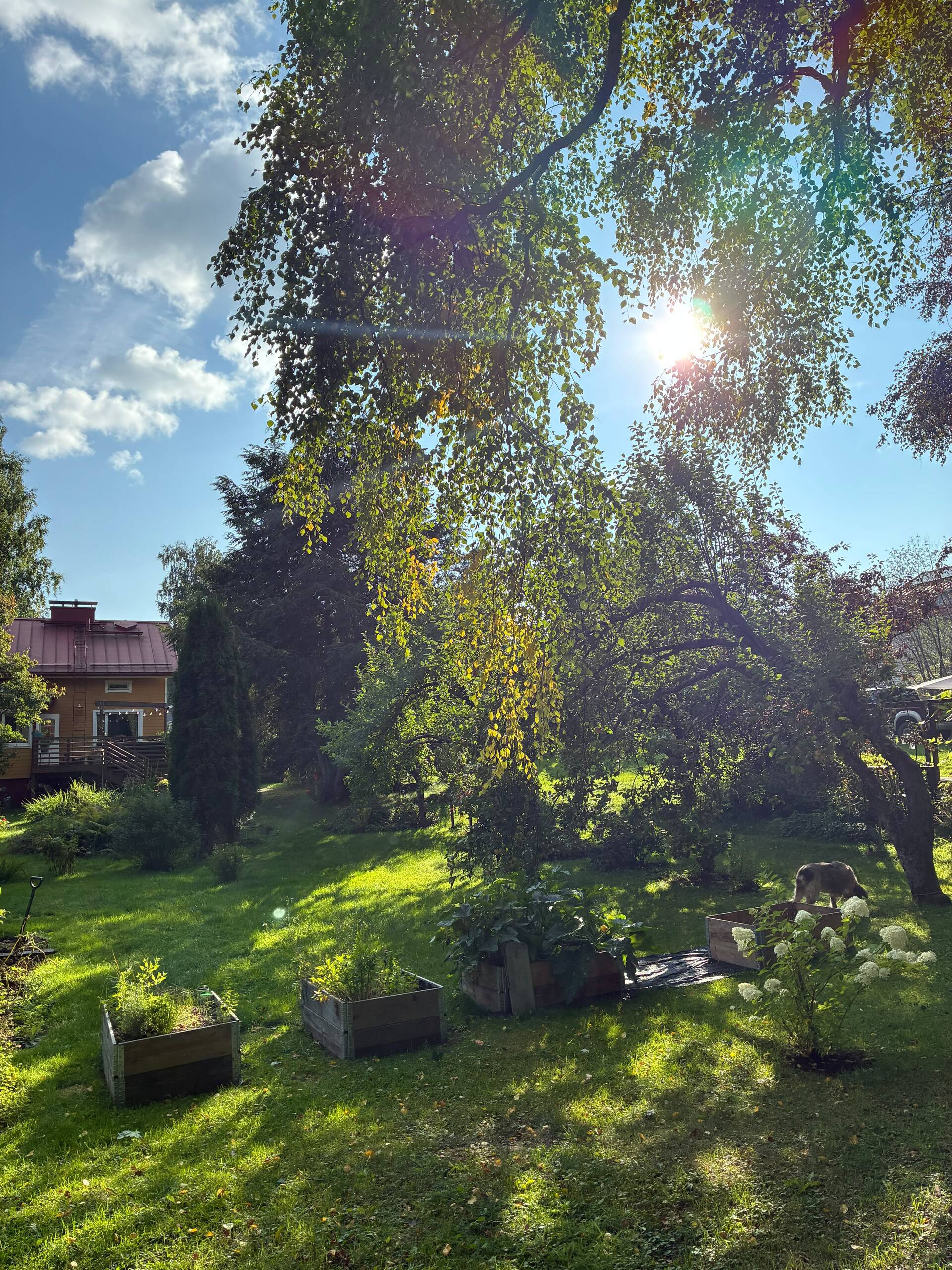 Rinnetie 12, Kankaantausta, Hämeenlinna