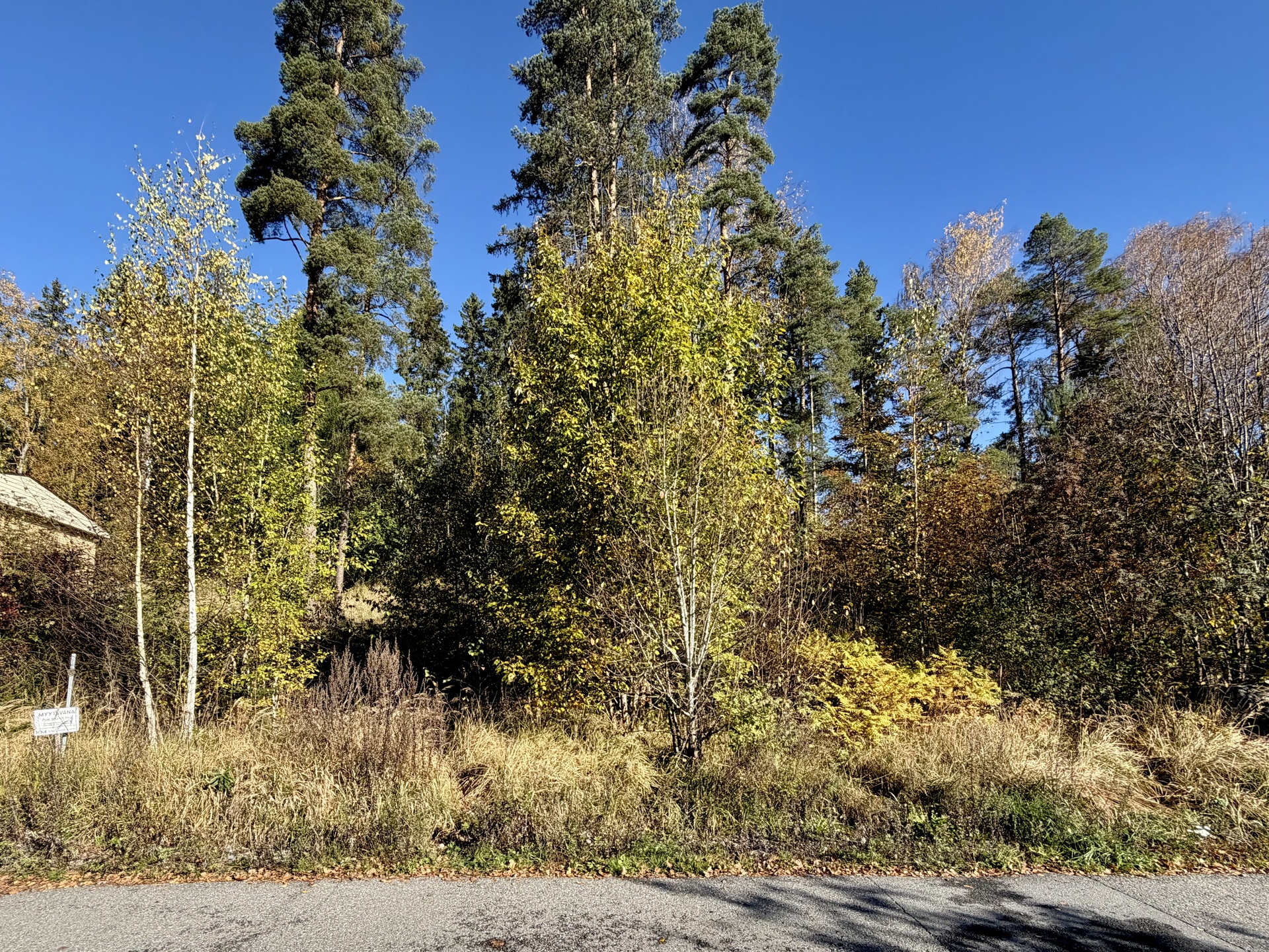 Raitatie 6, Hämeenlinna