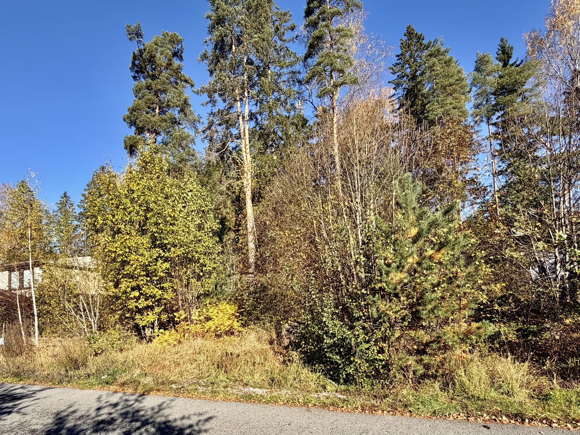 Raitatie 6, Hämeenlinna