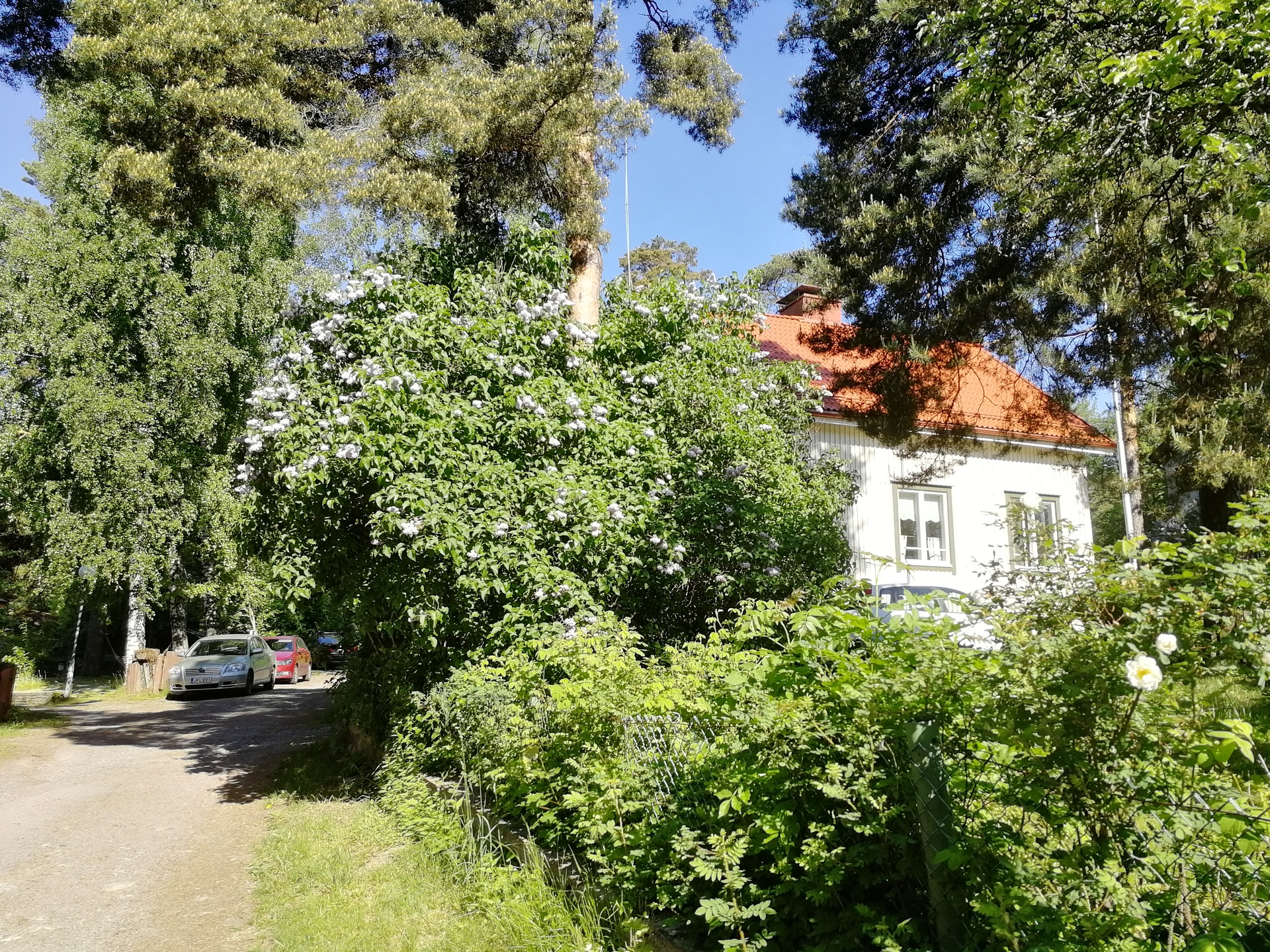 Myyjän ottama kesäkuva