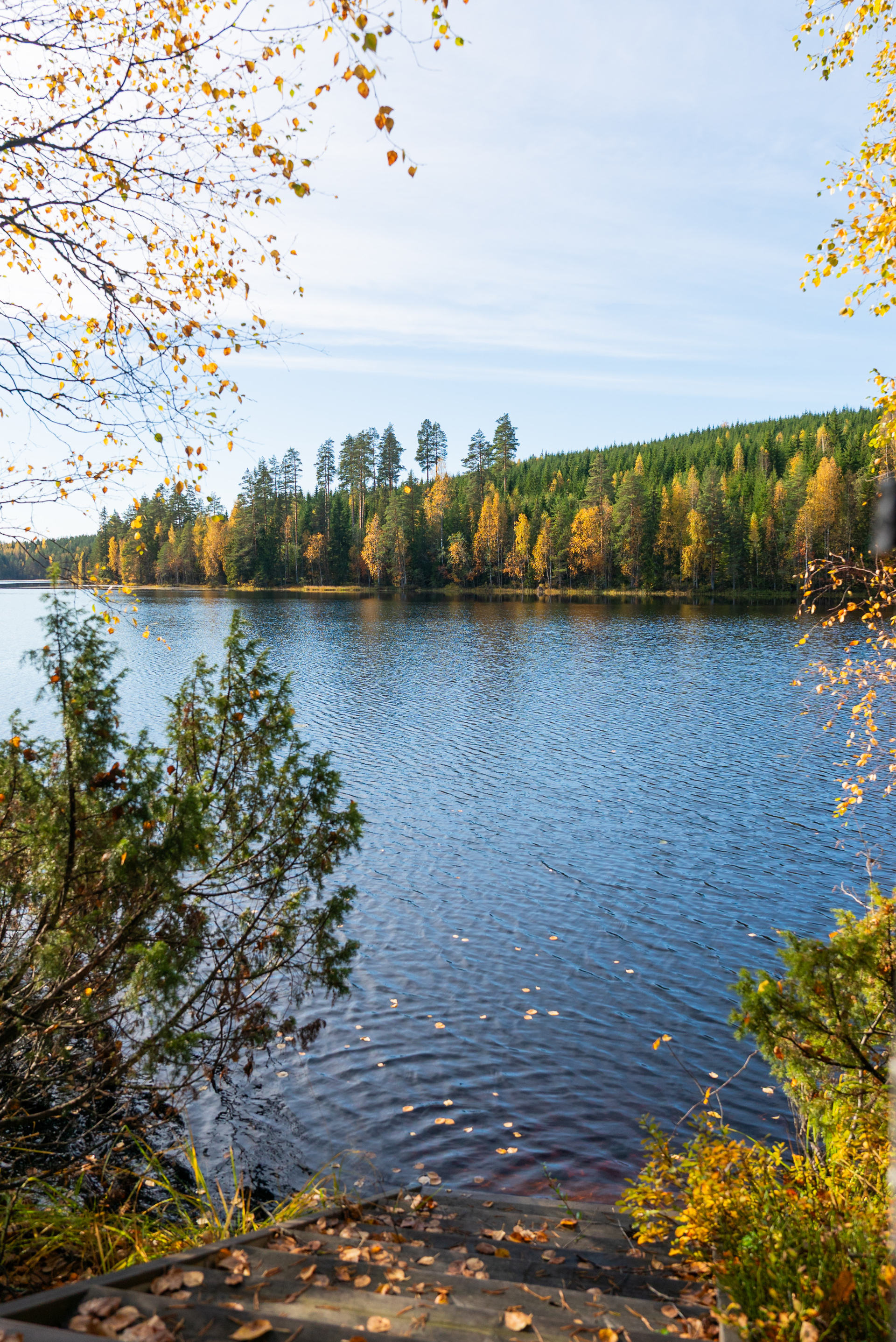 Marttalantie 91, Hirvimäki, Korpilahti