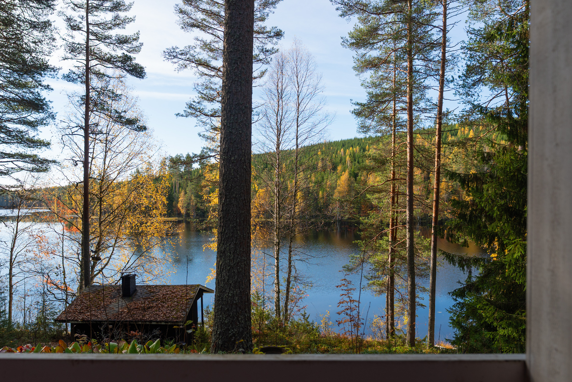 Marttalantie 91, Hirvimäki, Korpilahti