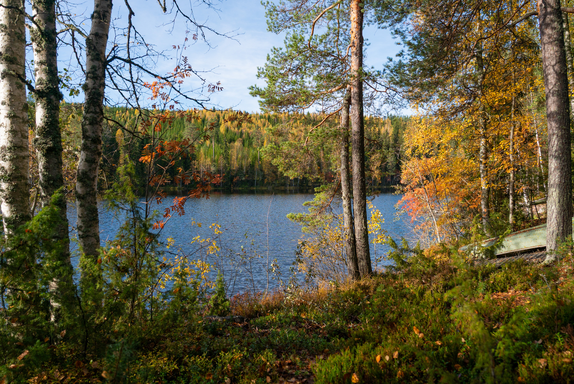 Marttalantie 91, Hirvimäki, Korpilahti