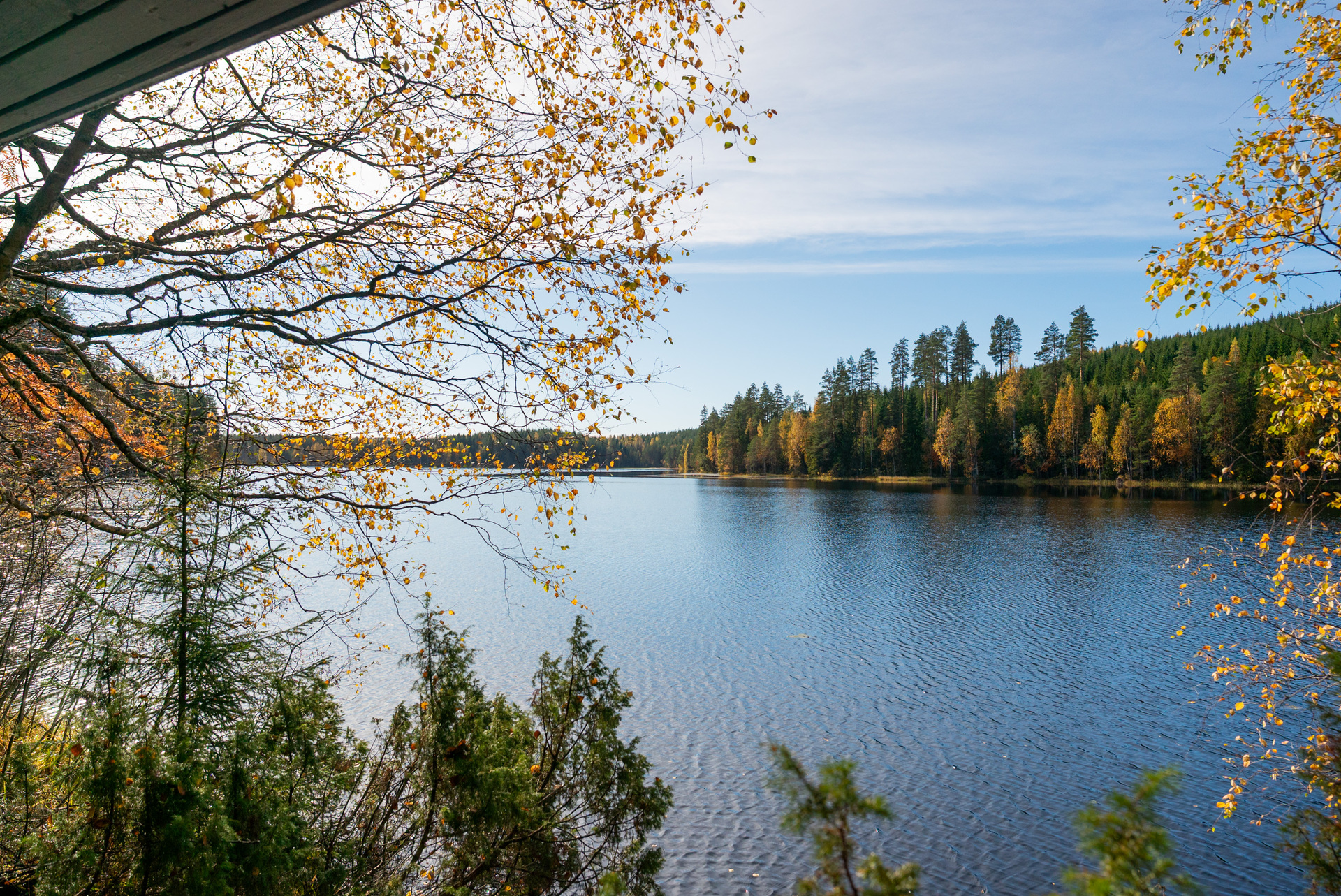 Marttalantie 91, Hirvimäki, Korpilahti