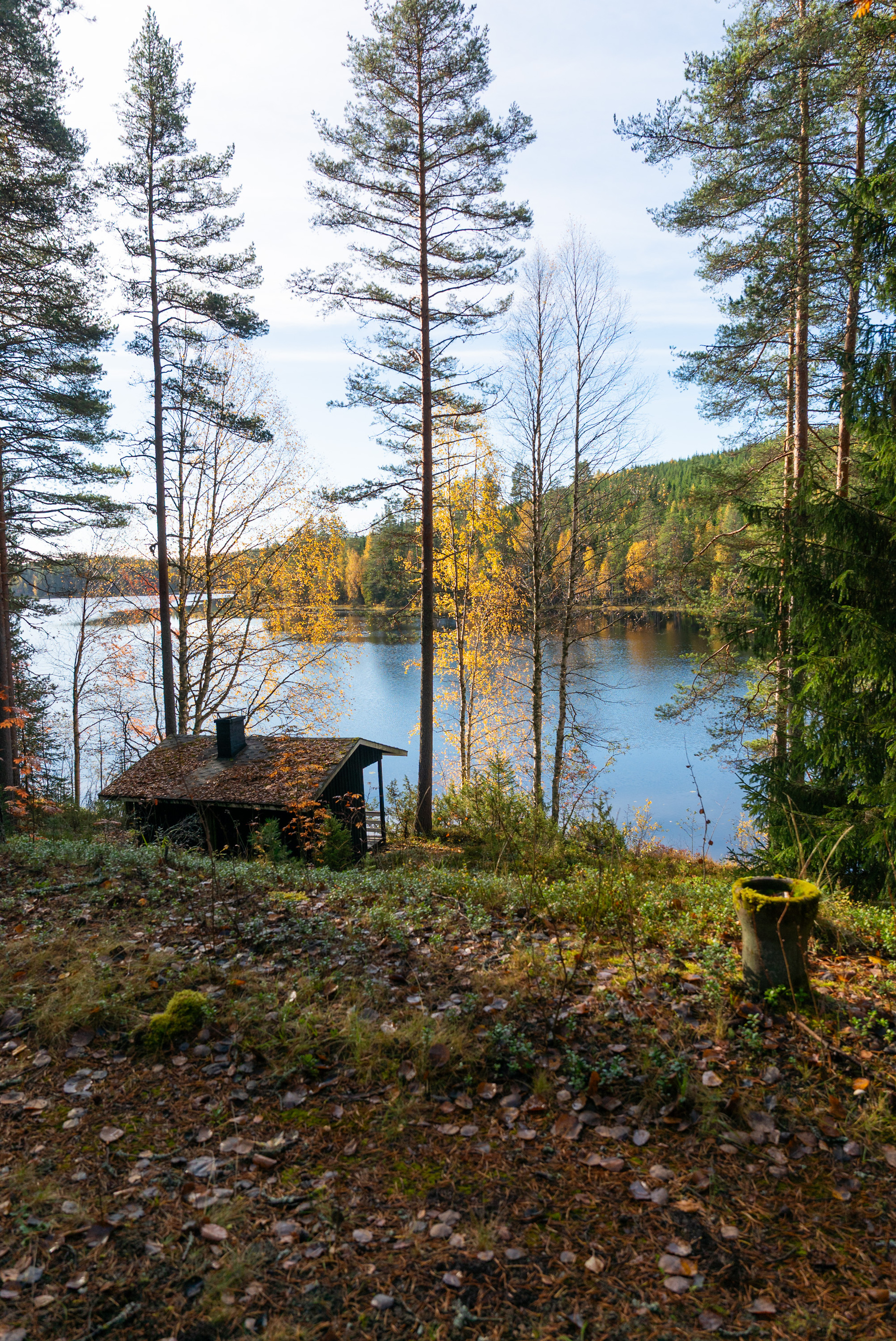 Marttalantie 91, Hirvimäki, Korpilahti
