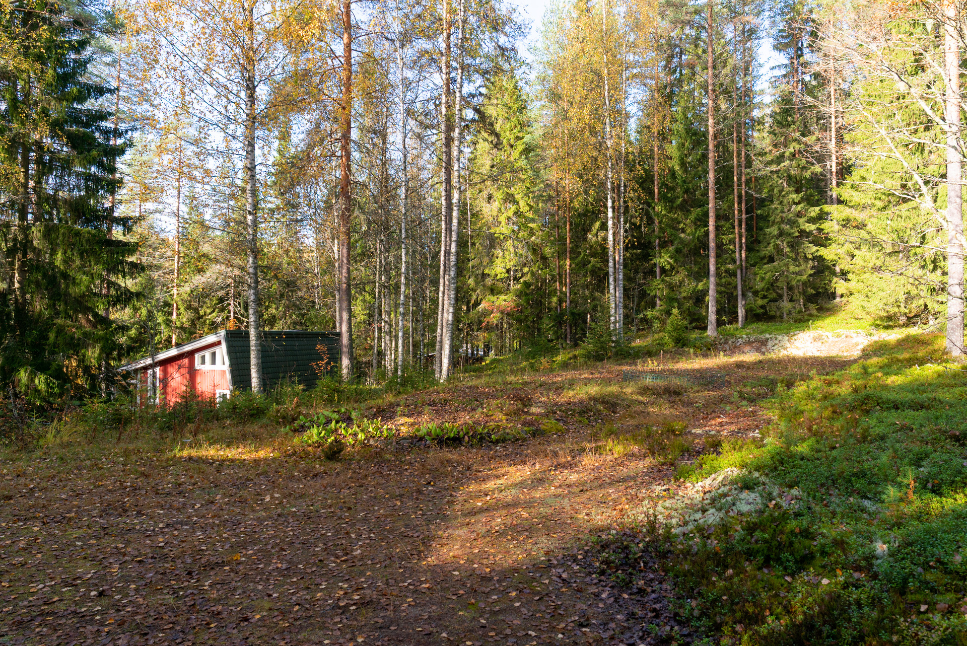 Marttalantie 91, Hirvimäki, Korpilahti