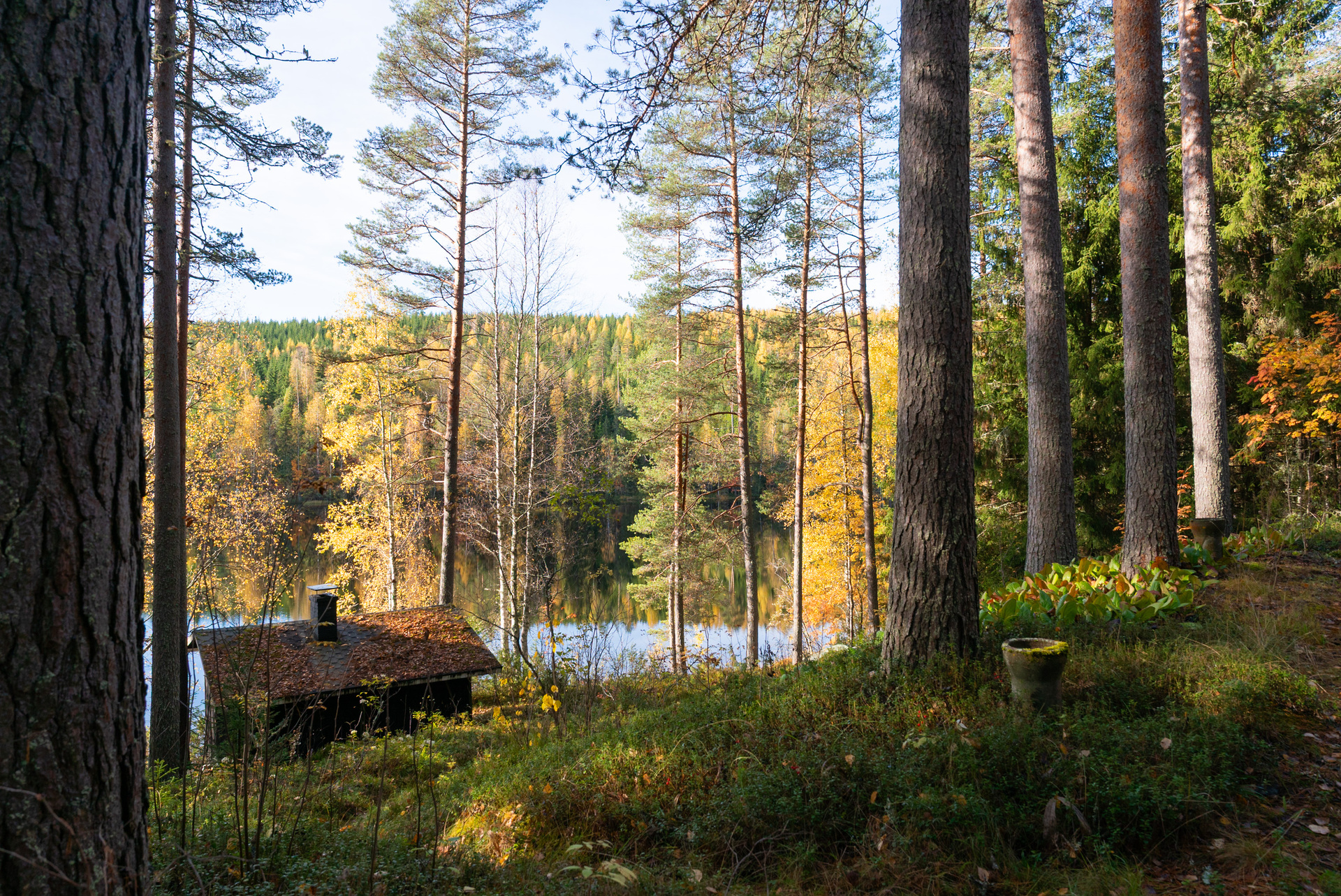 Marttalantie 91, Hirvimäki, Korpilahti