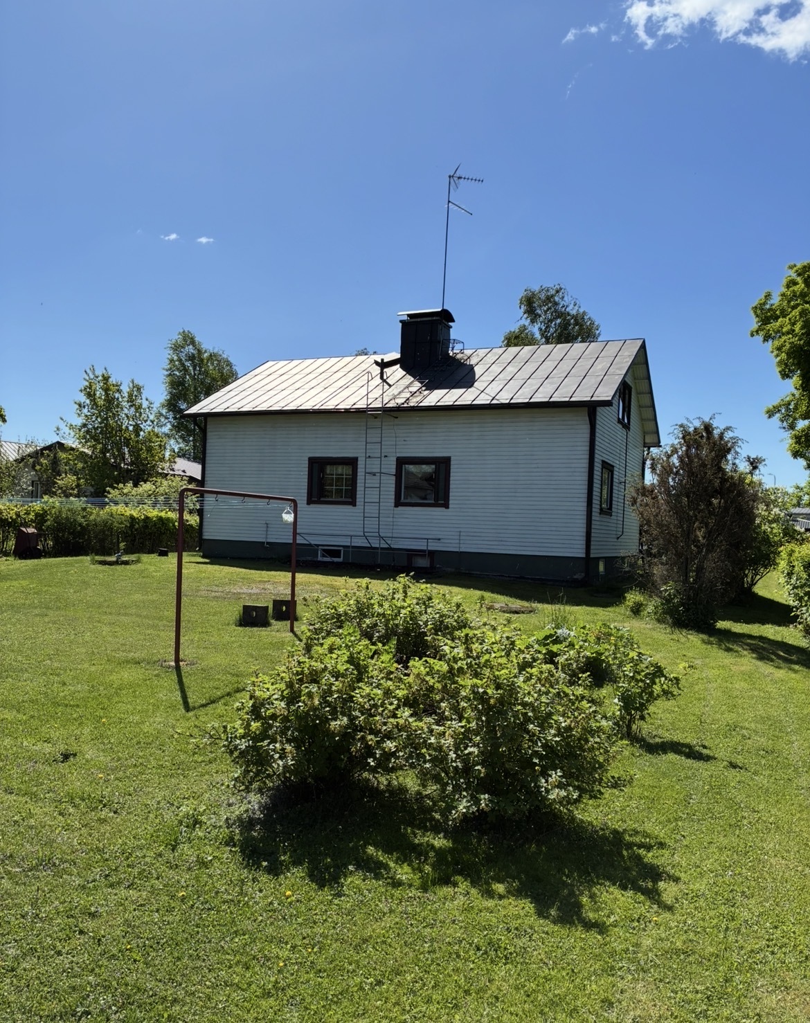 Iso takapiha