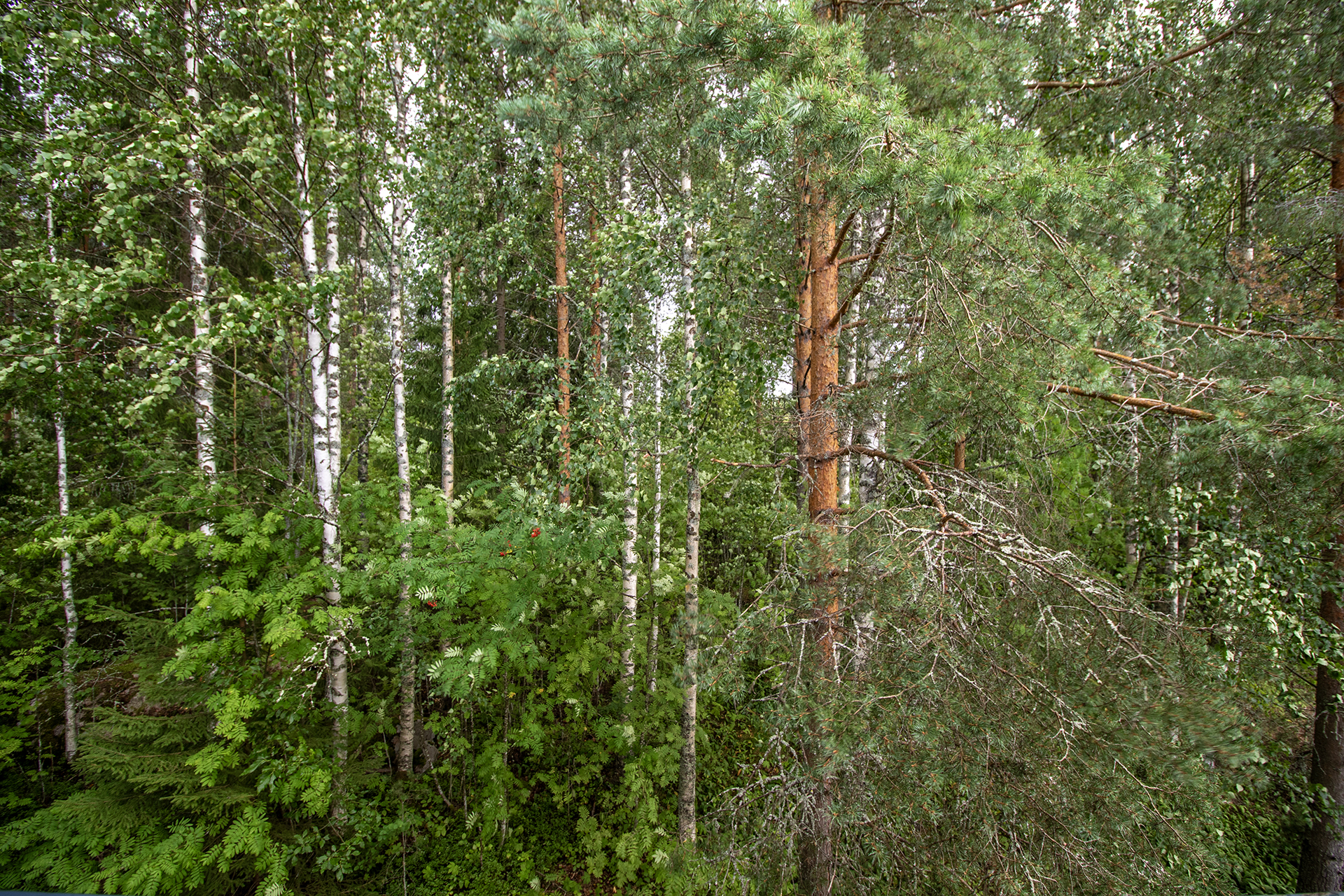 näkymä parvekkeelta