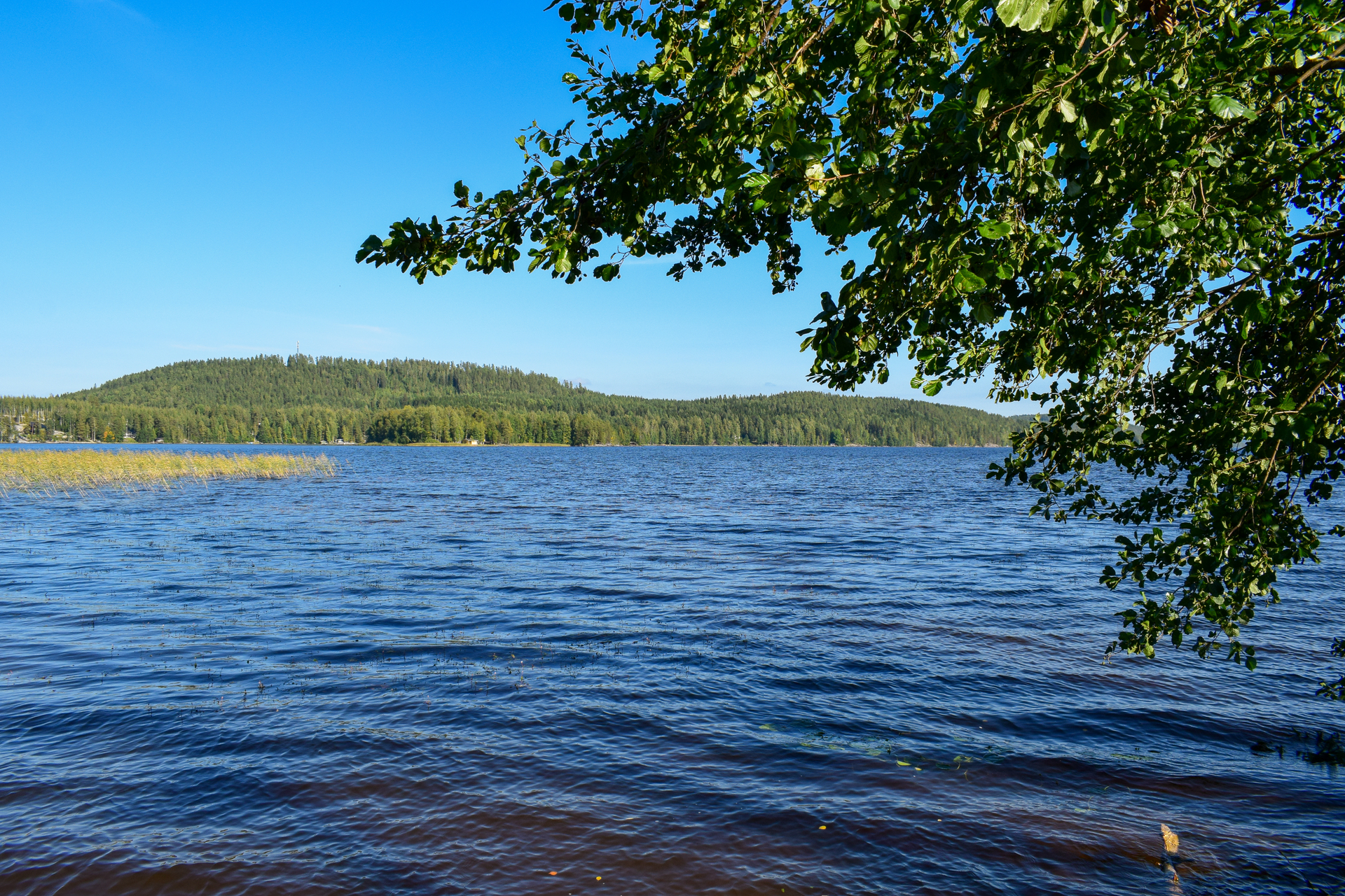 Majalantie 47a, Muurame