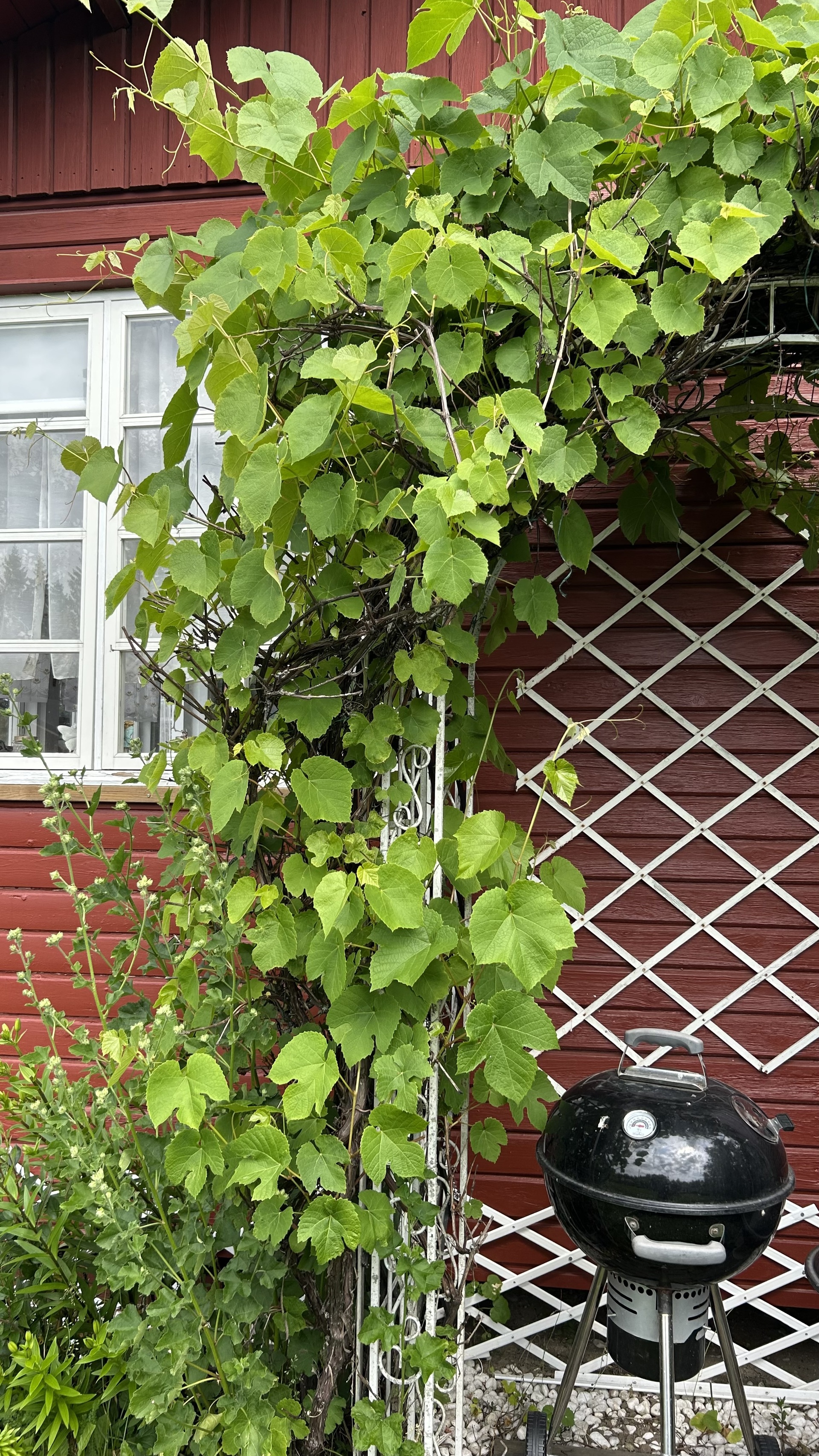 Pakilan rantatie 1, Rakuunapolku 64, Itä-Pakila, Helsinki