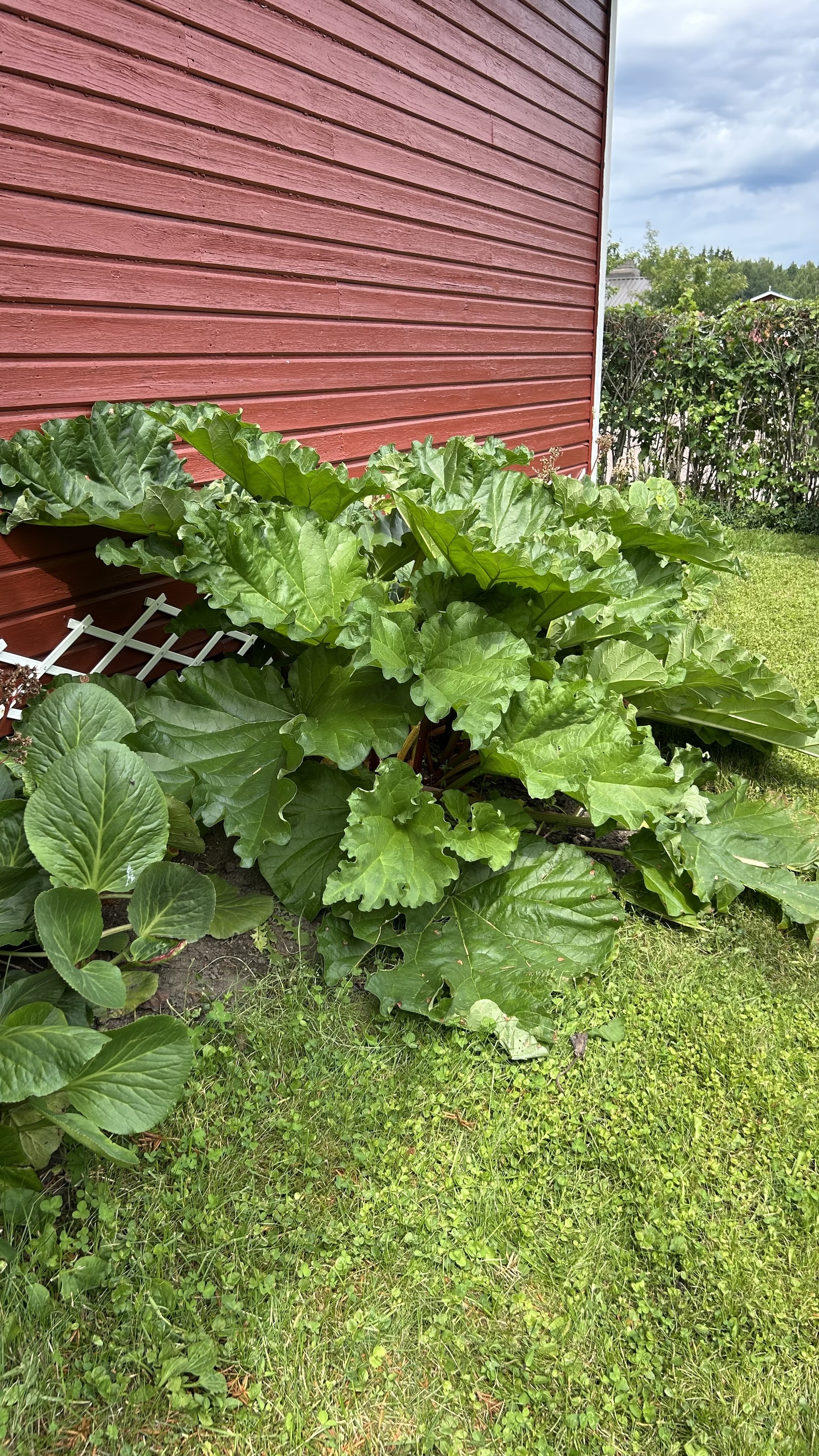 Pakilan rantatie 1, Rakuunapolku 64, Itä-Pakila, Helsinki