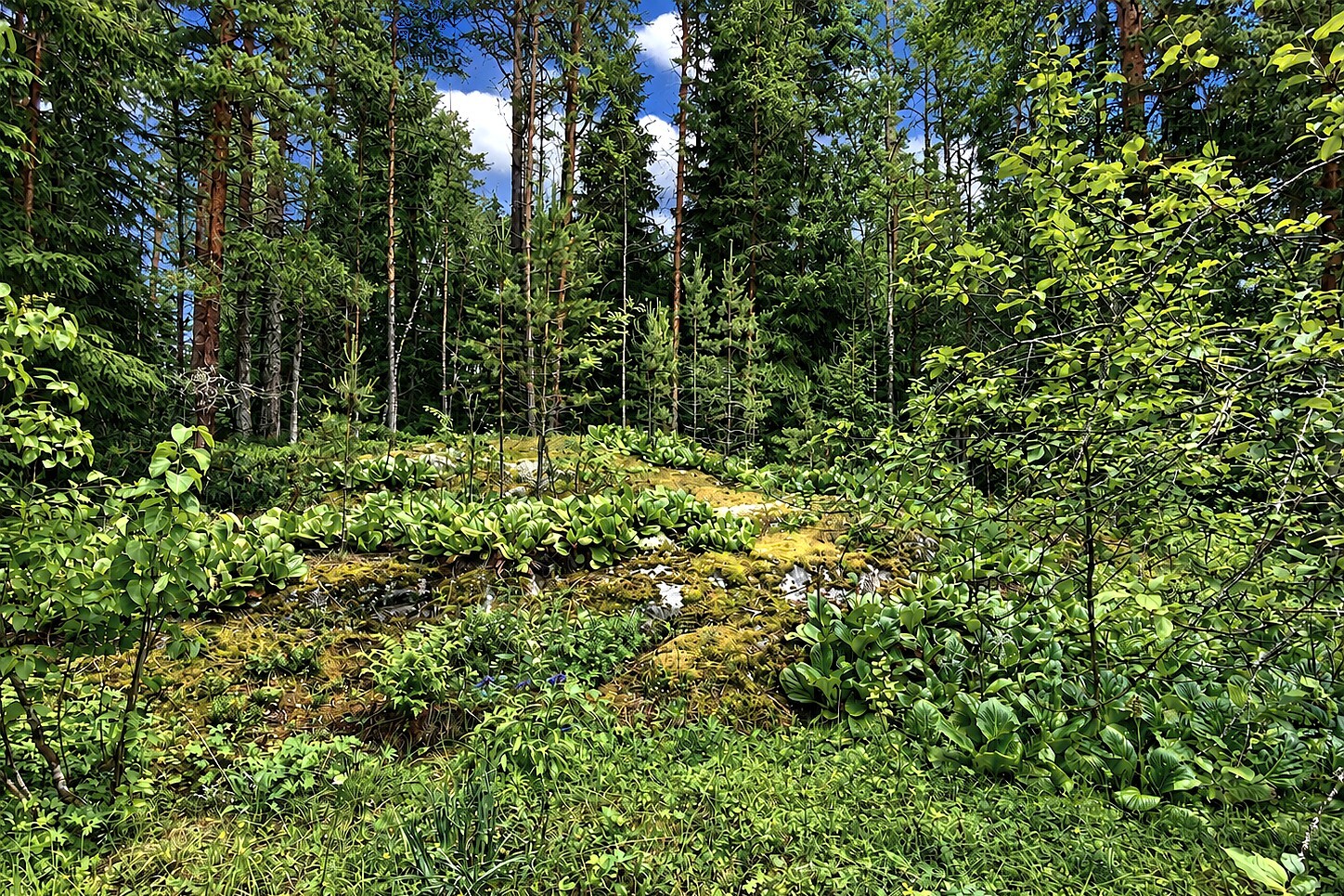 Pikkujärventie 291, Jämsä