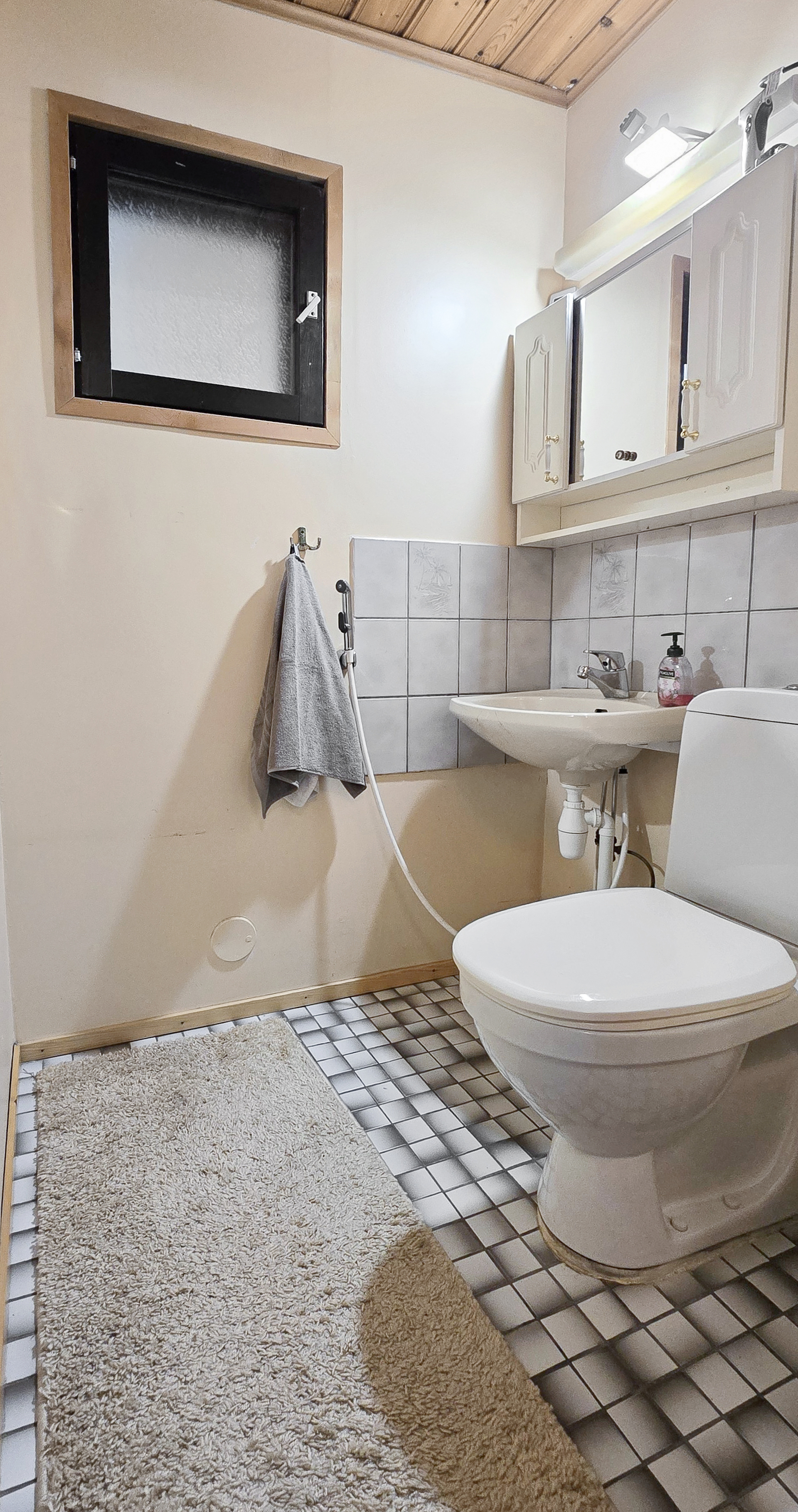 Erillinen wc
