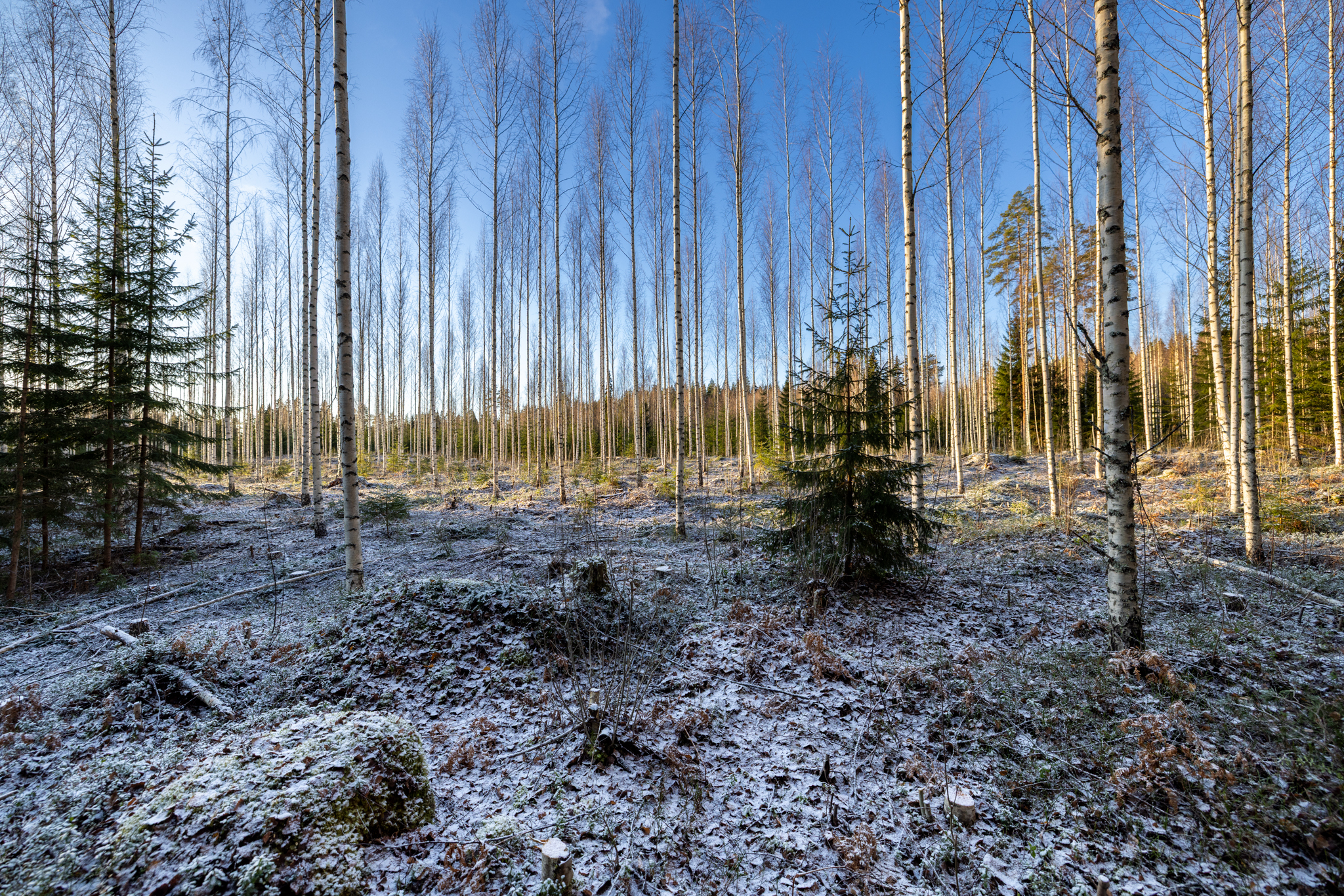 Puuskansaarentie 25a, Helppanala, Mikkeli