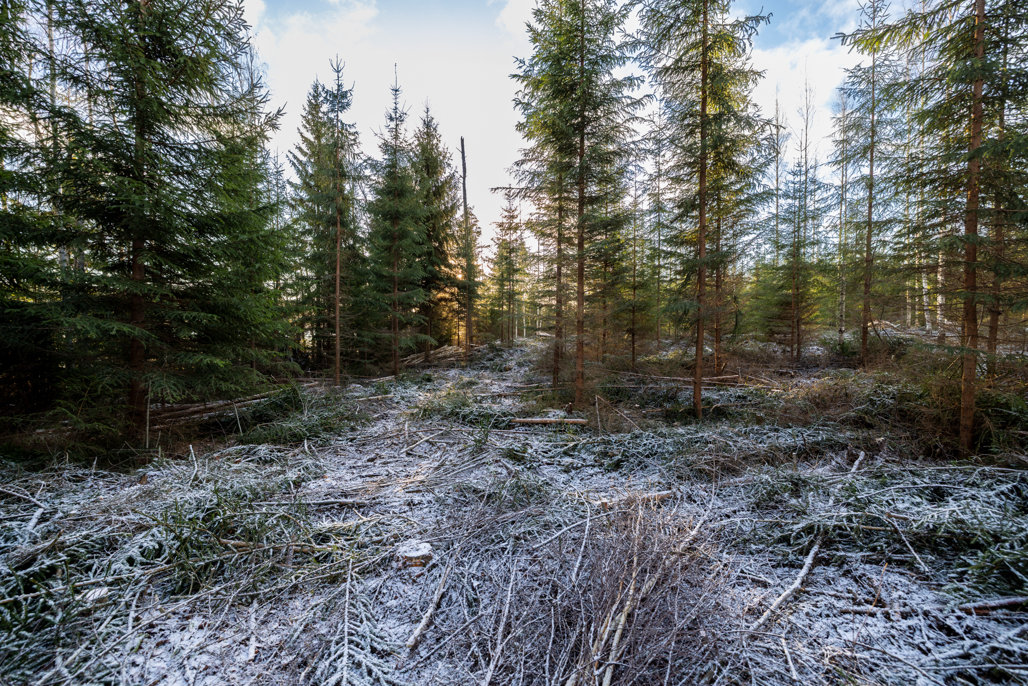 Puuskansaarentie 25a, Helppanala, Mikkeli