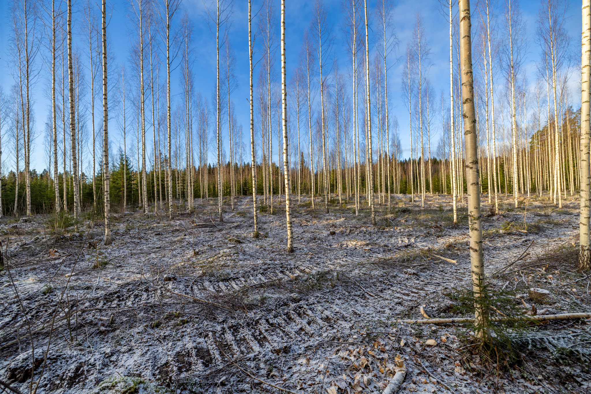 Puuskansaarentie 25a, Helppanala, Mikkeli