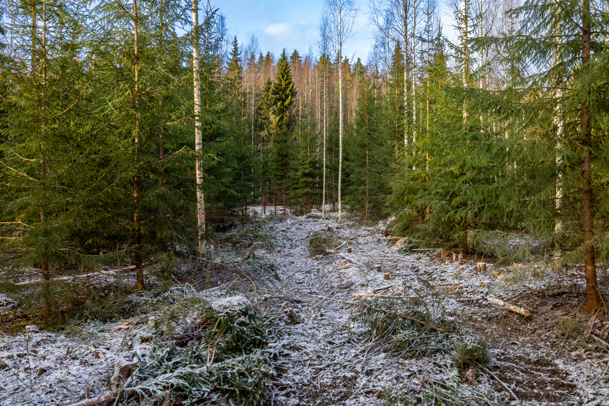 Puuskansaarentie 25a, Helppanala, Mikkeli