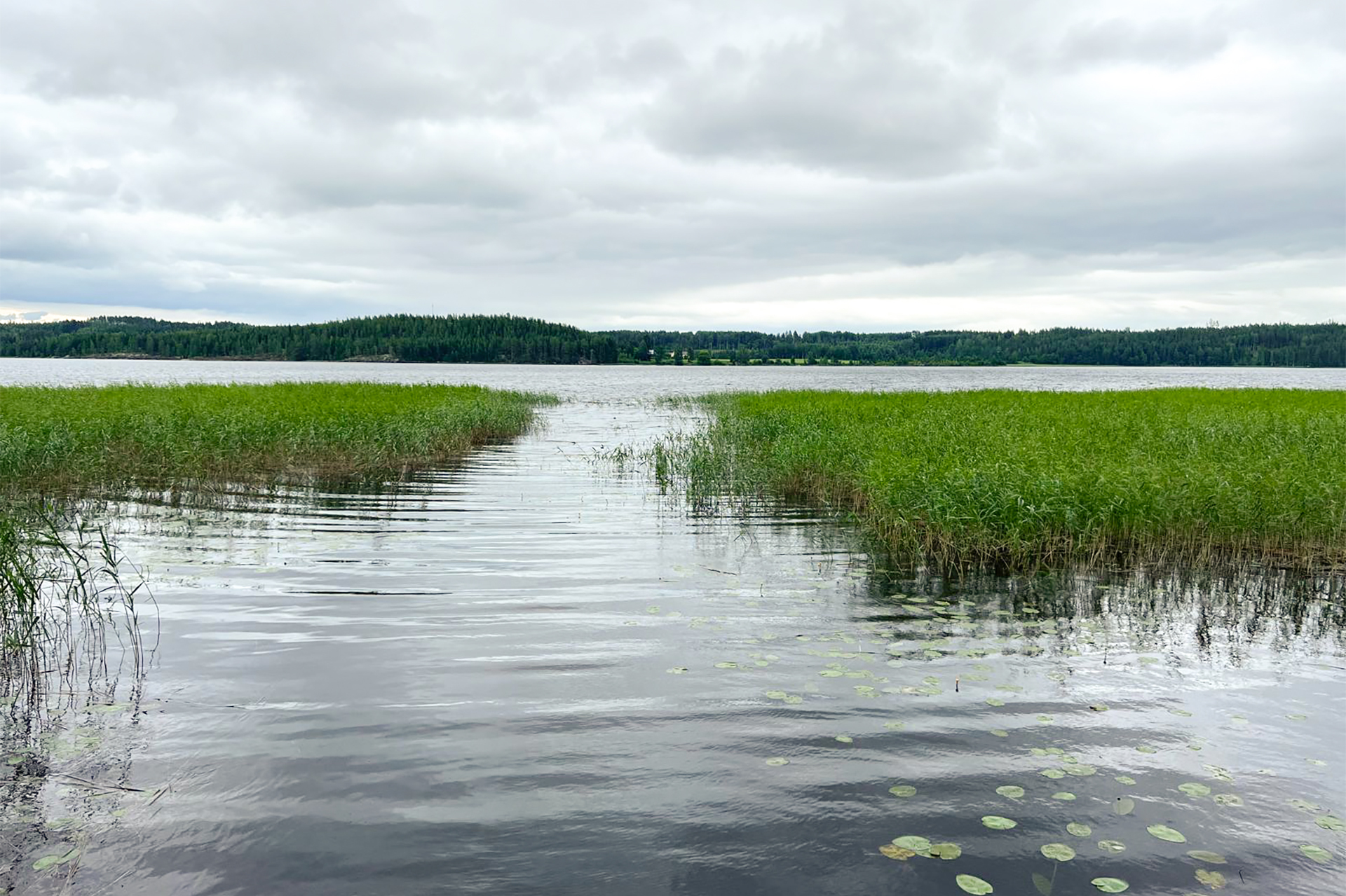 Järvinäkymä kallavedelle.