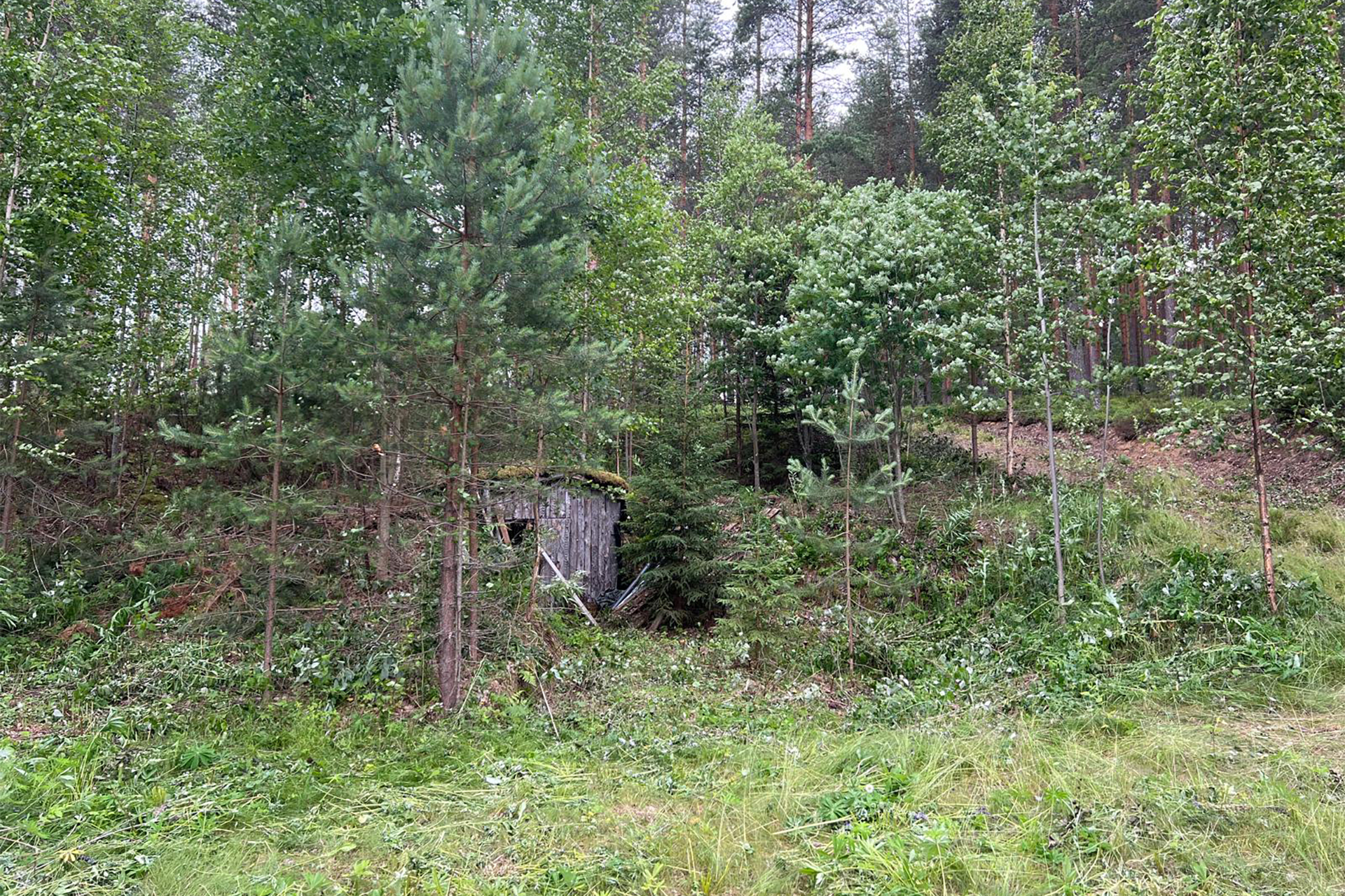 Rannalla sijaitsevalla määrä-alalla oleva vanha huonokuntoinen sauna.