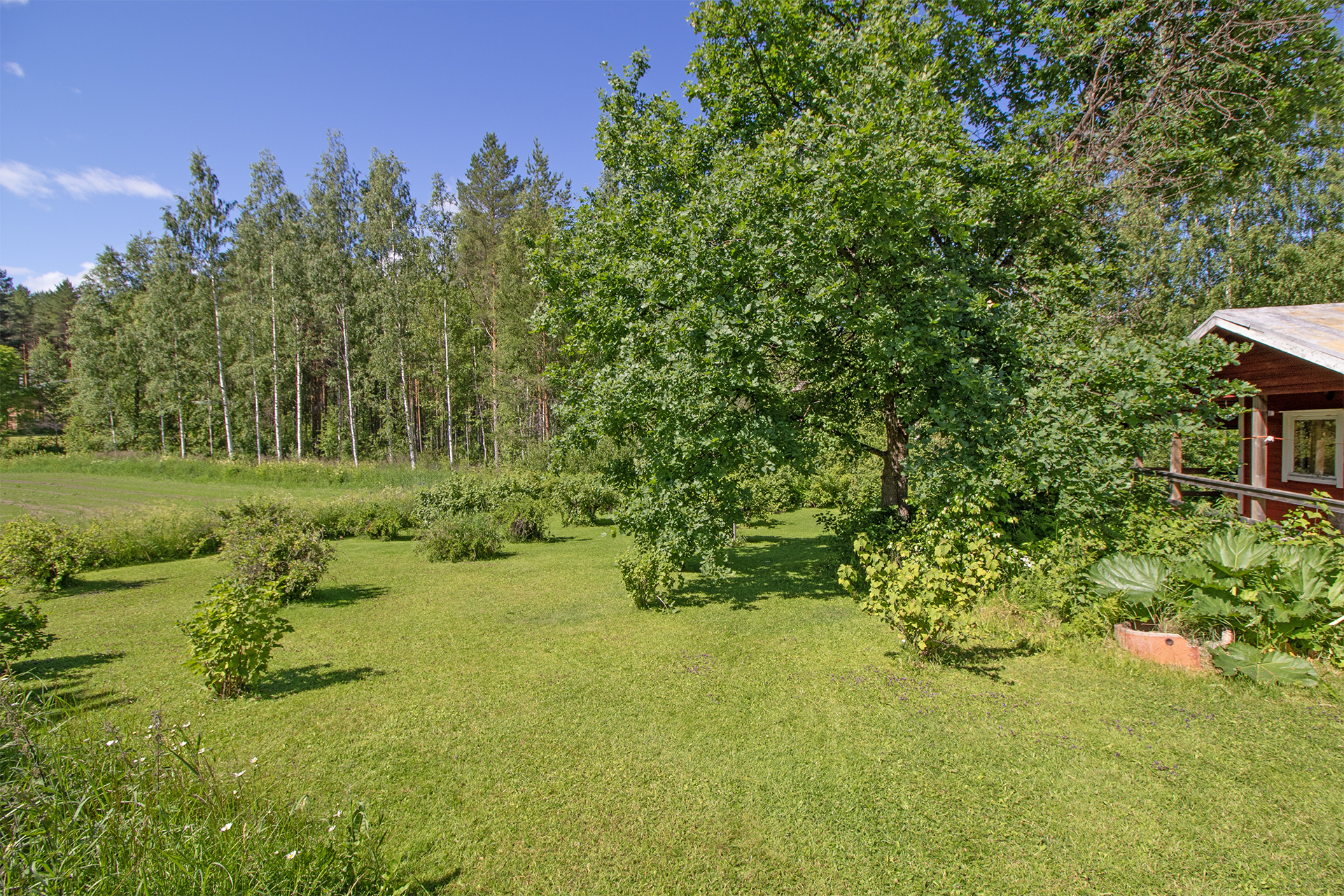 Pihapiiriä  ulkosaunan edestä.