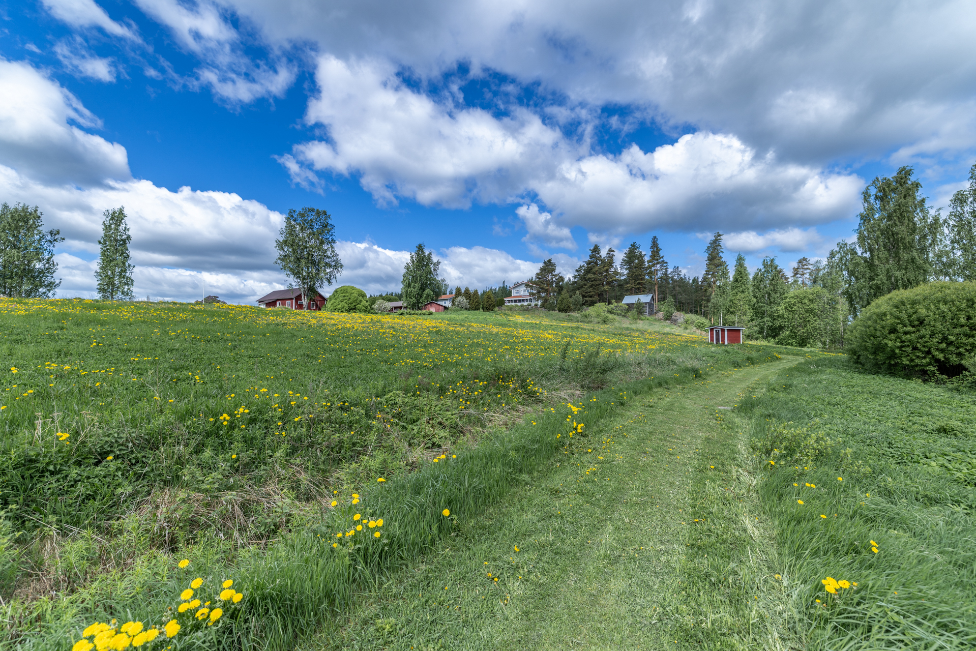 Päiväniemenkuja 7a, Mikkeli