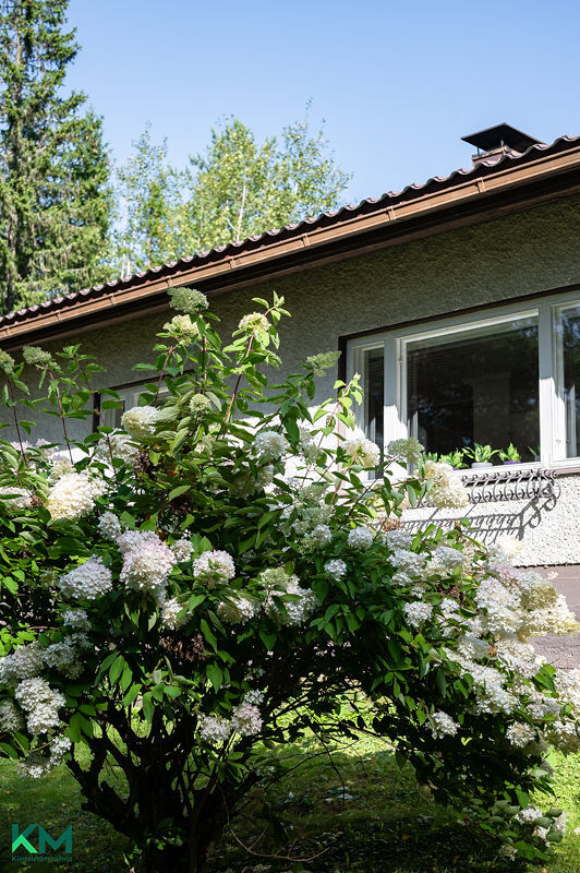 Heinämaantie 1183, Villähde, Lahti