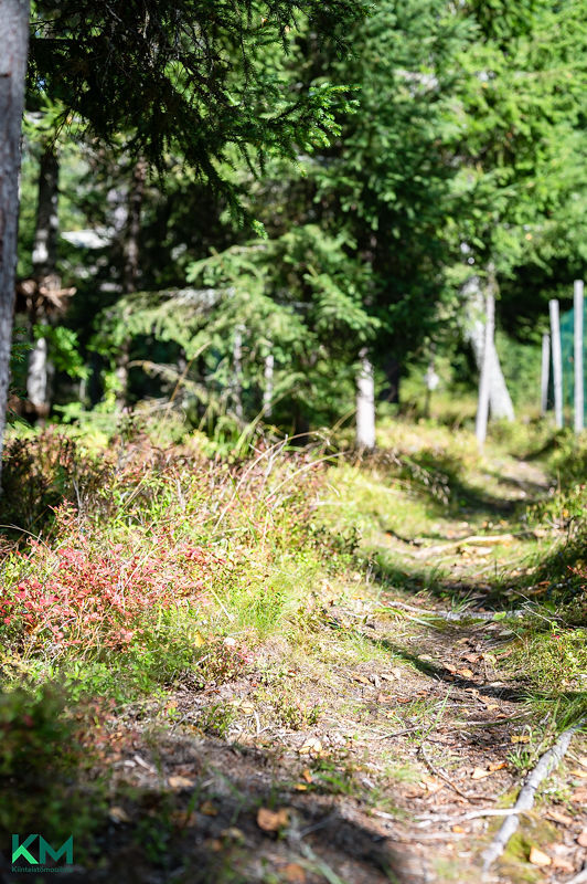 Heinämaantie 1183, Villähde, Lahti