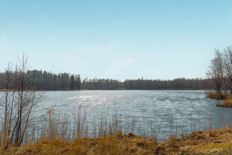 Lammaslampi