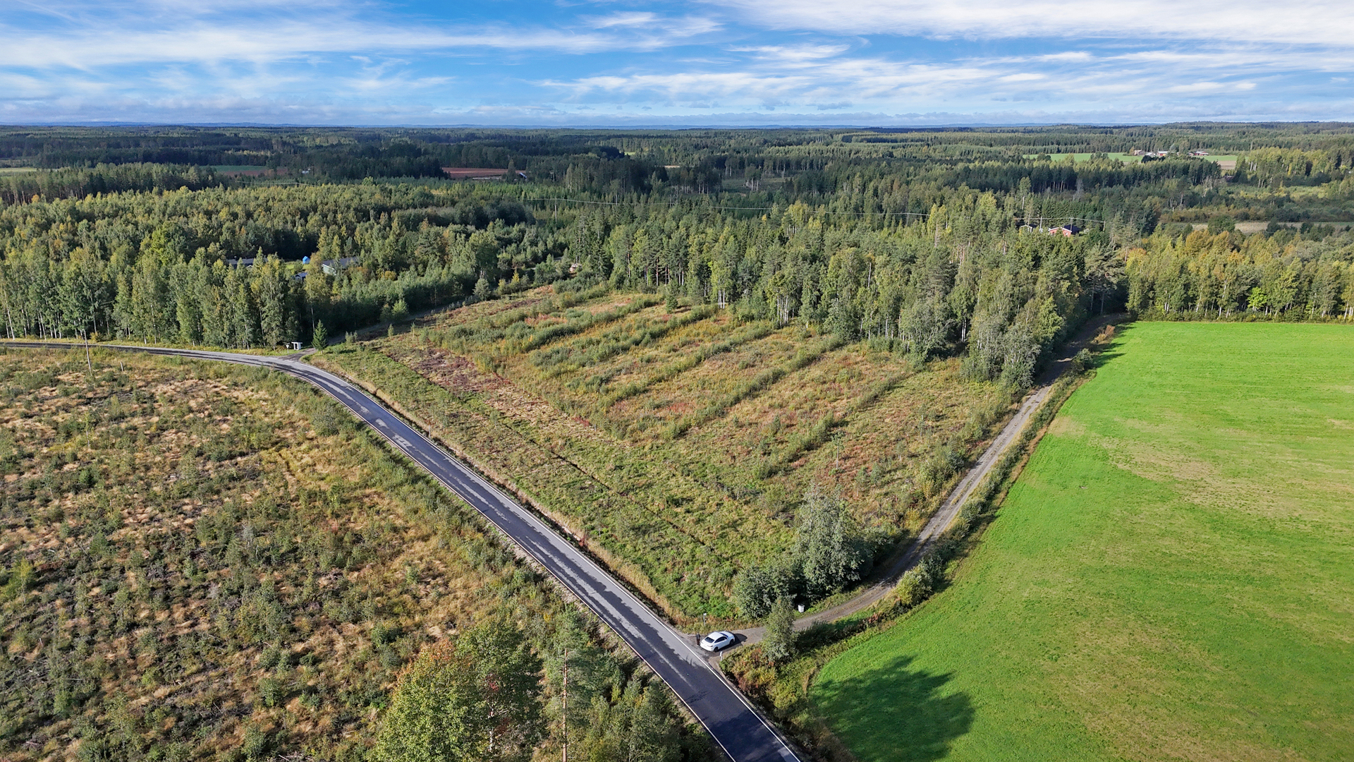 Mattisenlahdentie, Mattisenlahti, Liperi