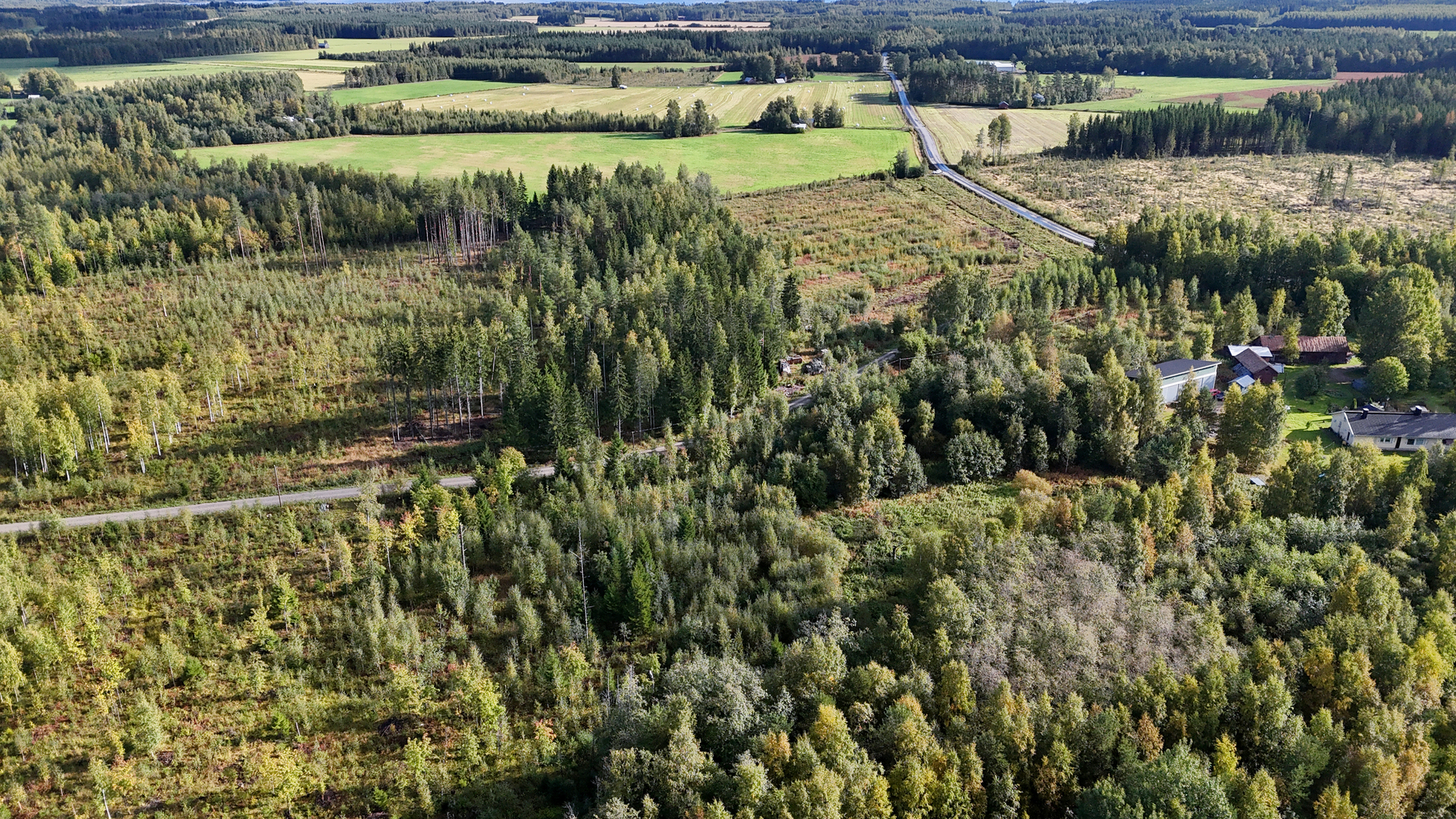 Mattisenlahdentie, Mattisenlahti, Liperi