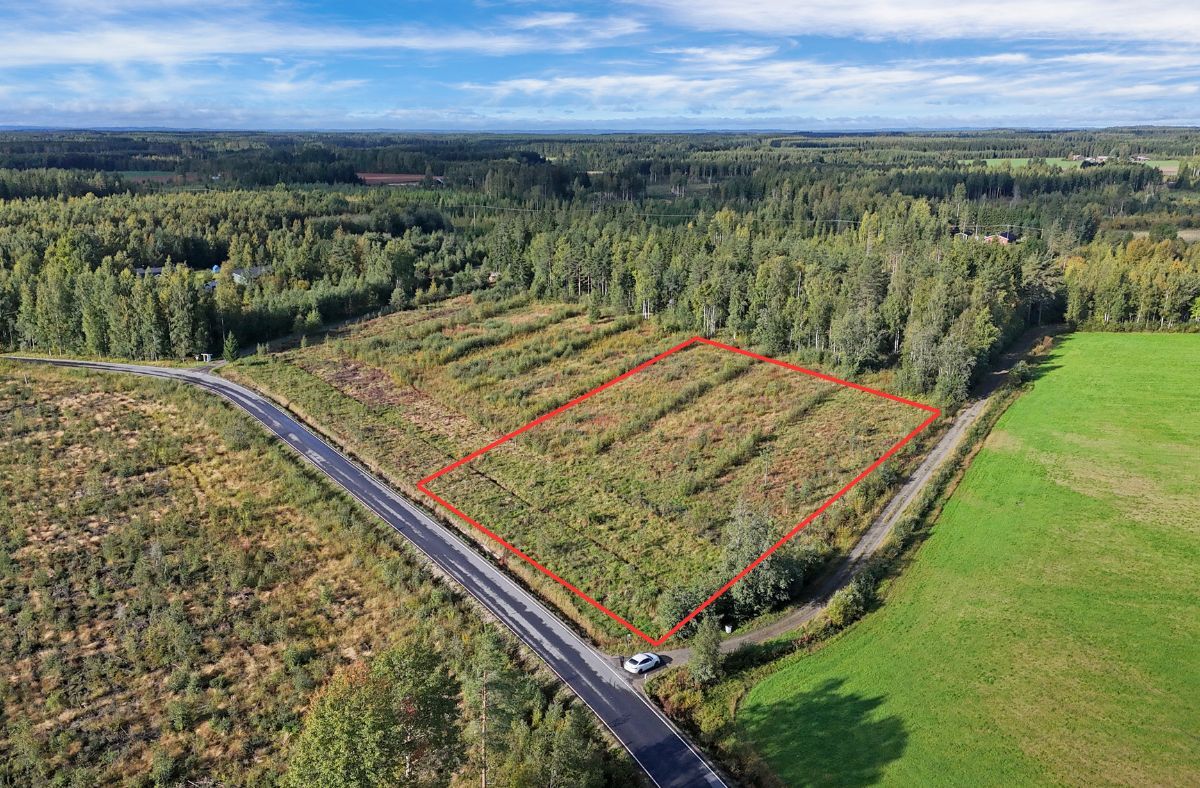 Mattisenlahdentie, Mattisenlahti, Liperi