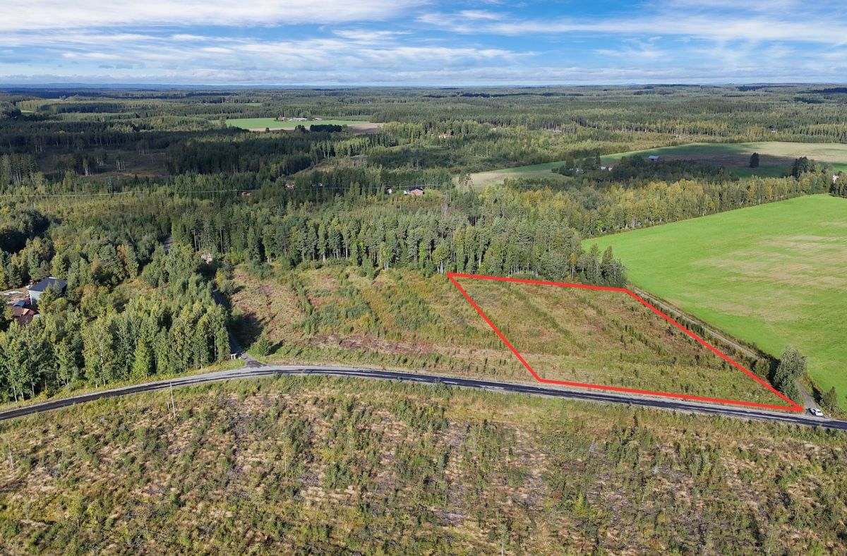 Mattisenlahdentie, Mattisenlahti, Liperi