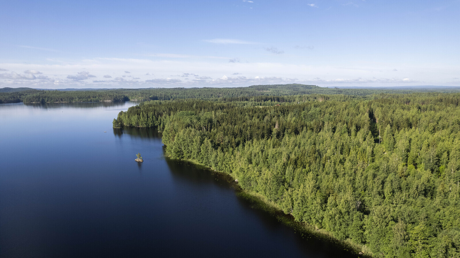 Vuohiniementie, Kangasniemi
