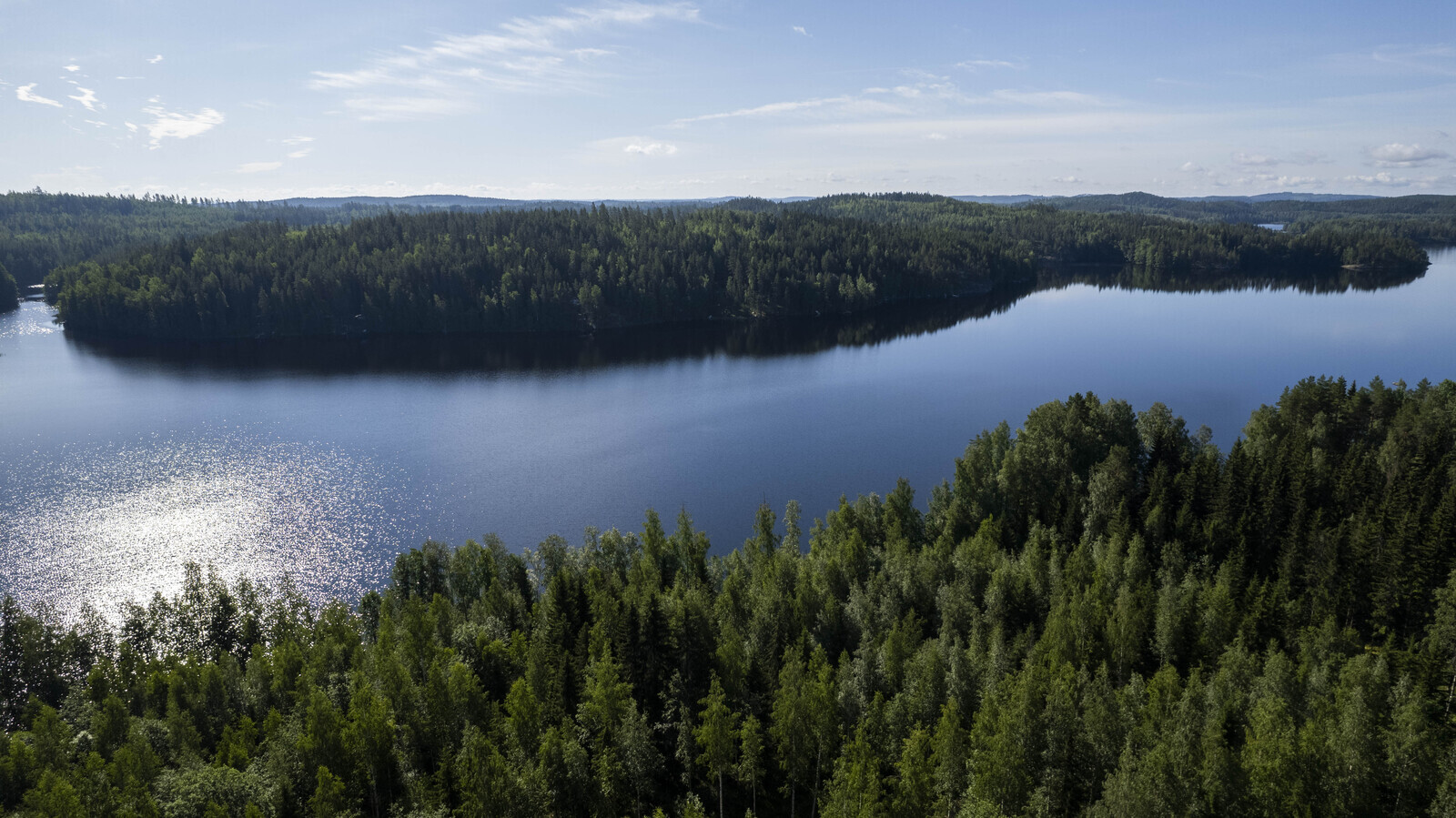 Vuohiniementie, Kangasniemi