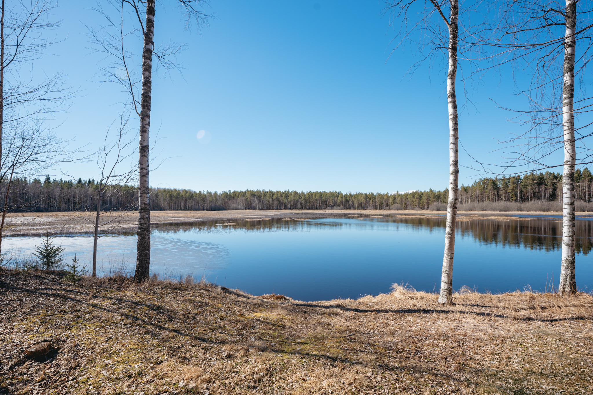 Kurenniementie 29, Mänttä-Vilppula