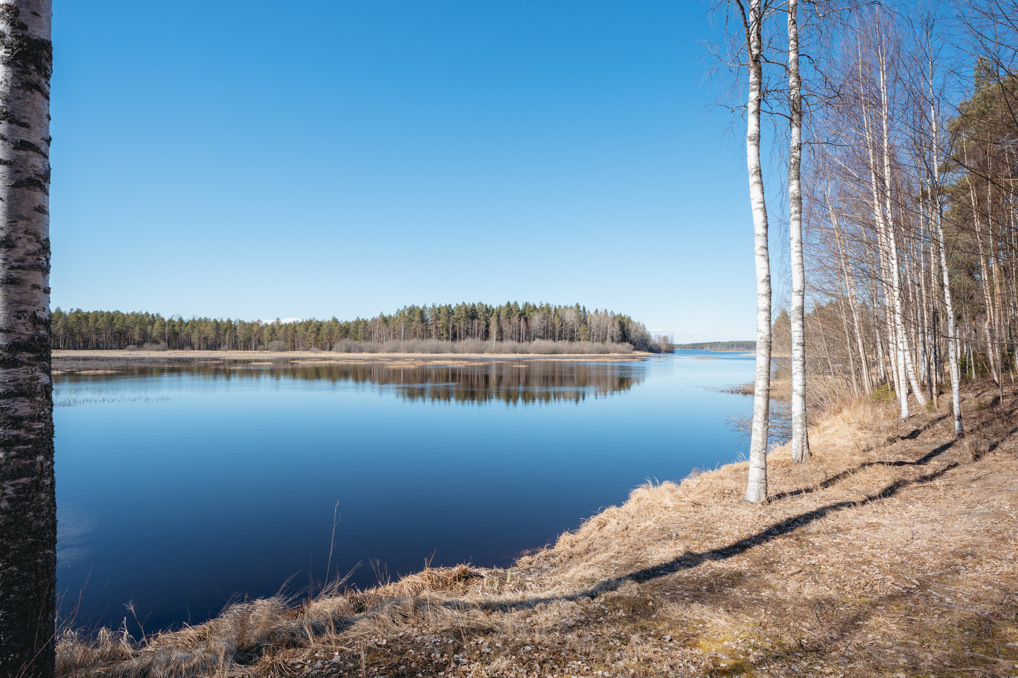 Kurenniementie 29, Mänttä-Vilppula