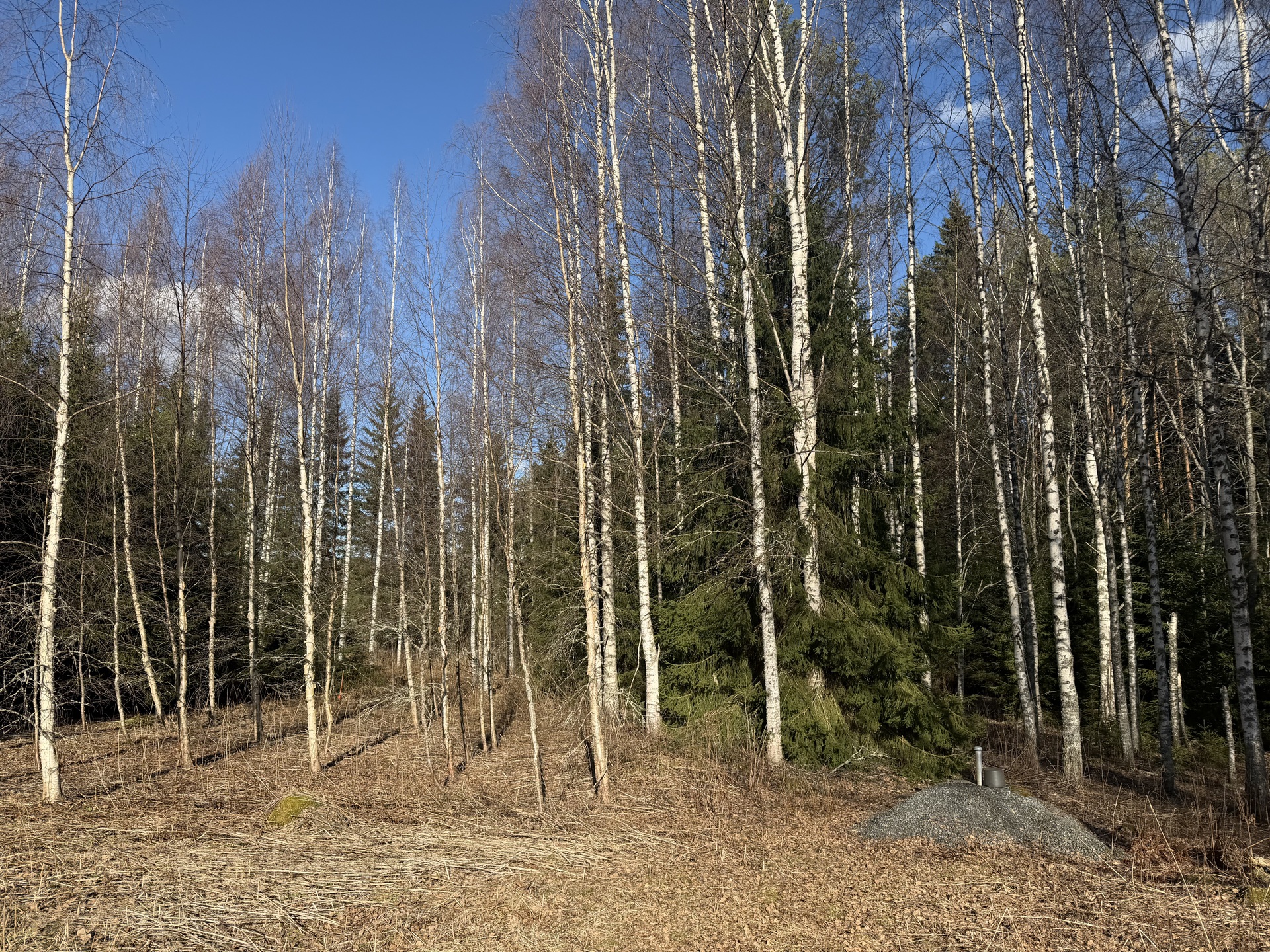 Etelä-Mäkiahontie 24, Juva