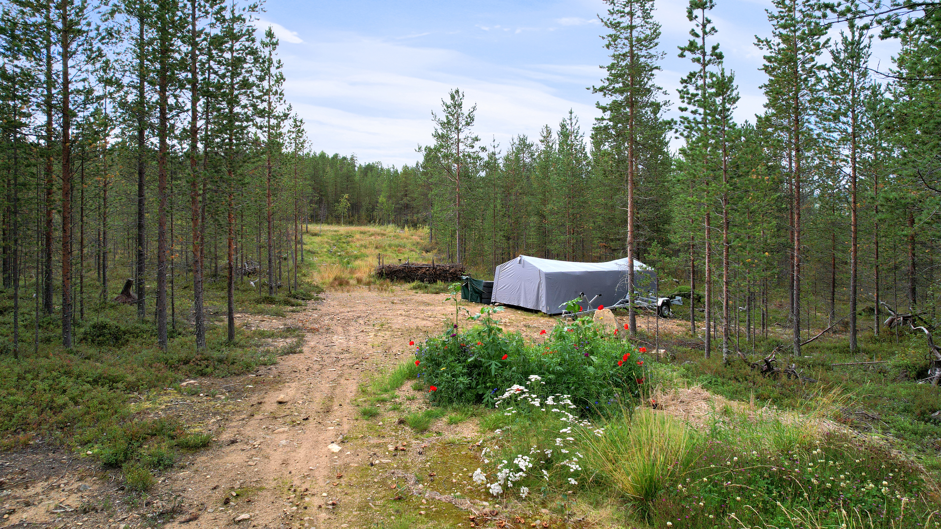 Pihapiiriä