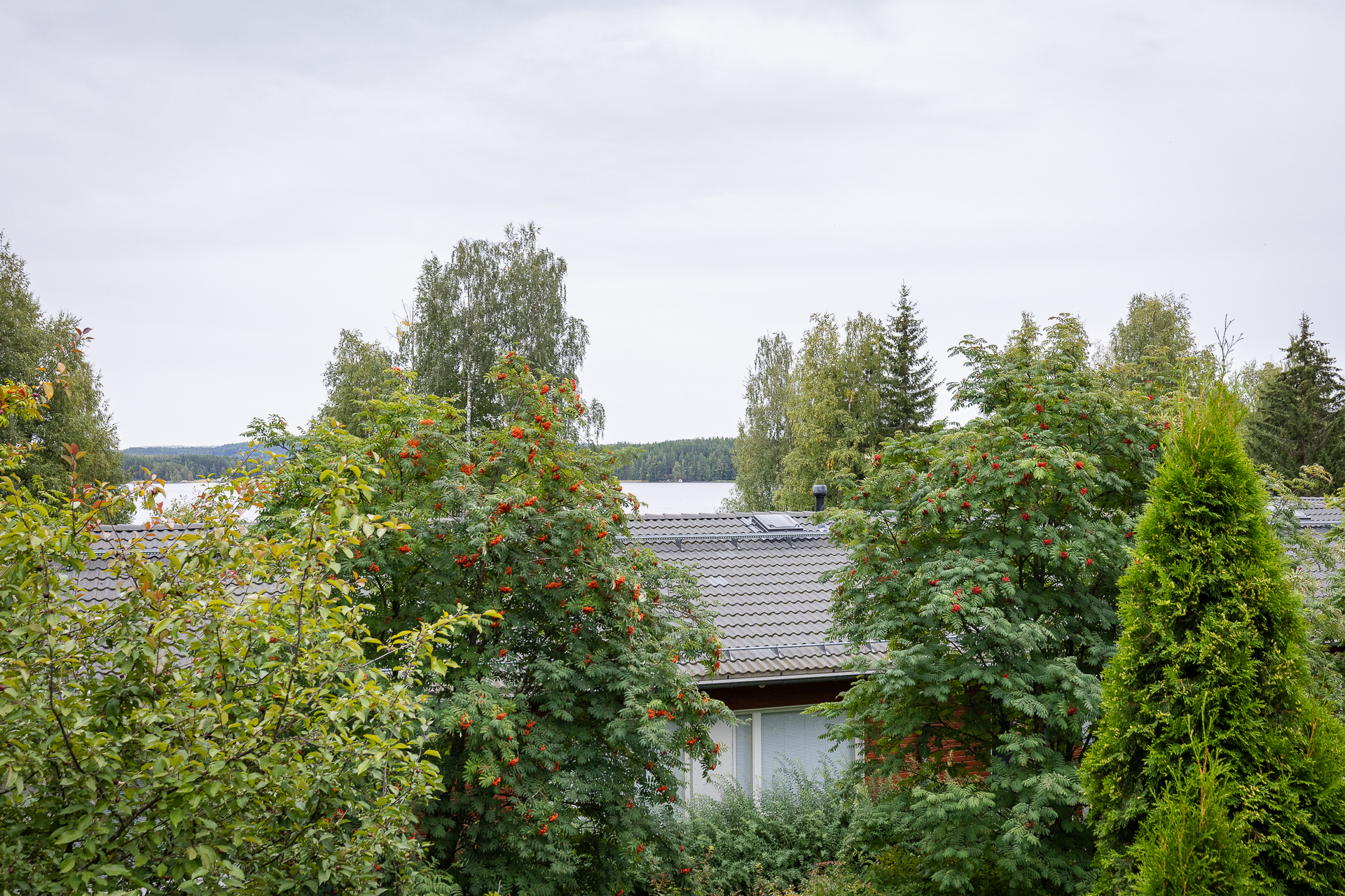 Vuorenlahdentie 13, Muurame